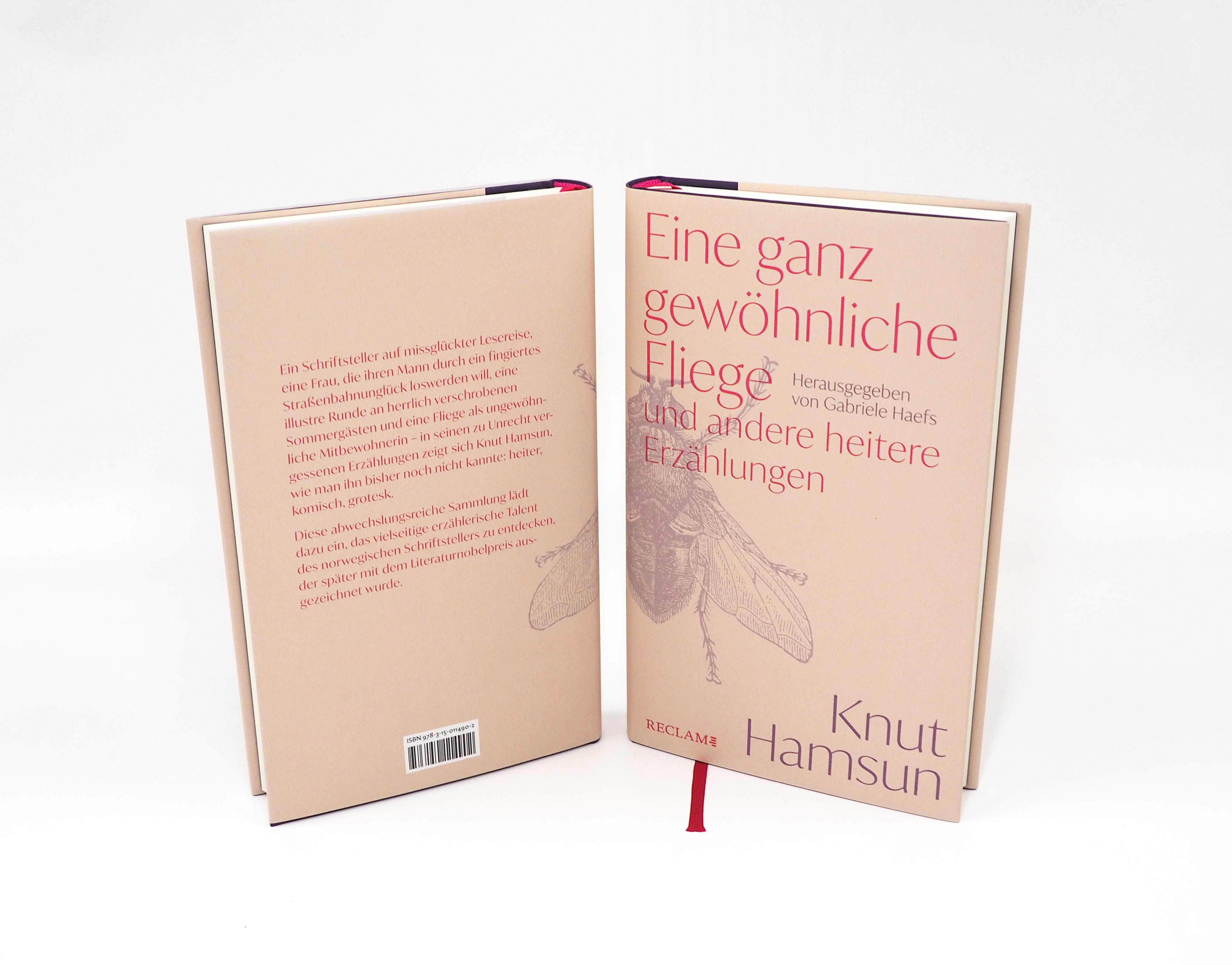 Beispielinhalt (Bild) Eine ganz gewöhnliche Fliege und andere heitere Erzählungen