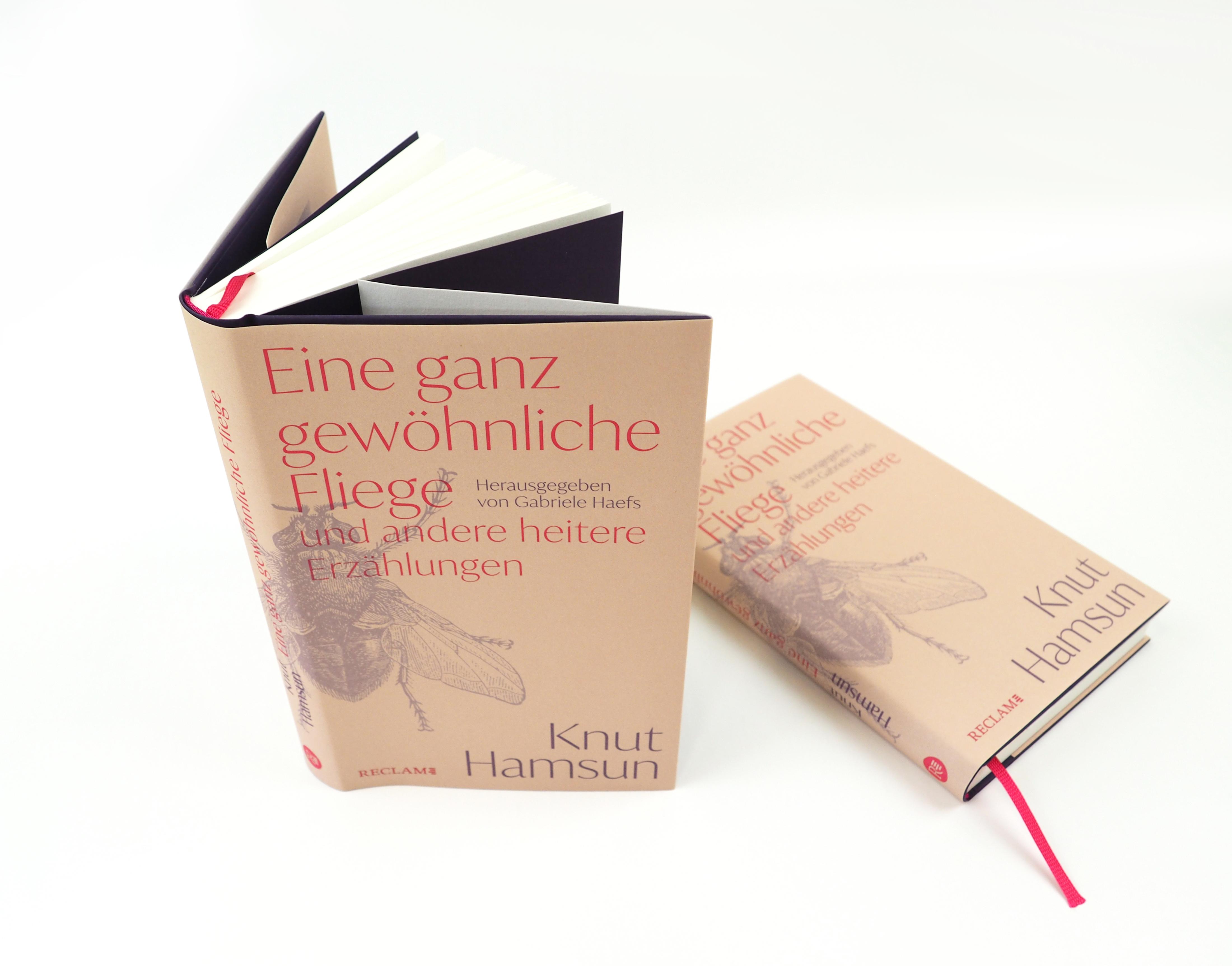 Beispielinhalt (Bild) Eine ganz gewöhnliche Fliege und andere heitere Erzählungen