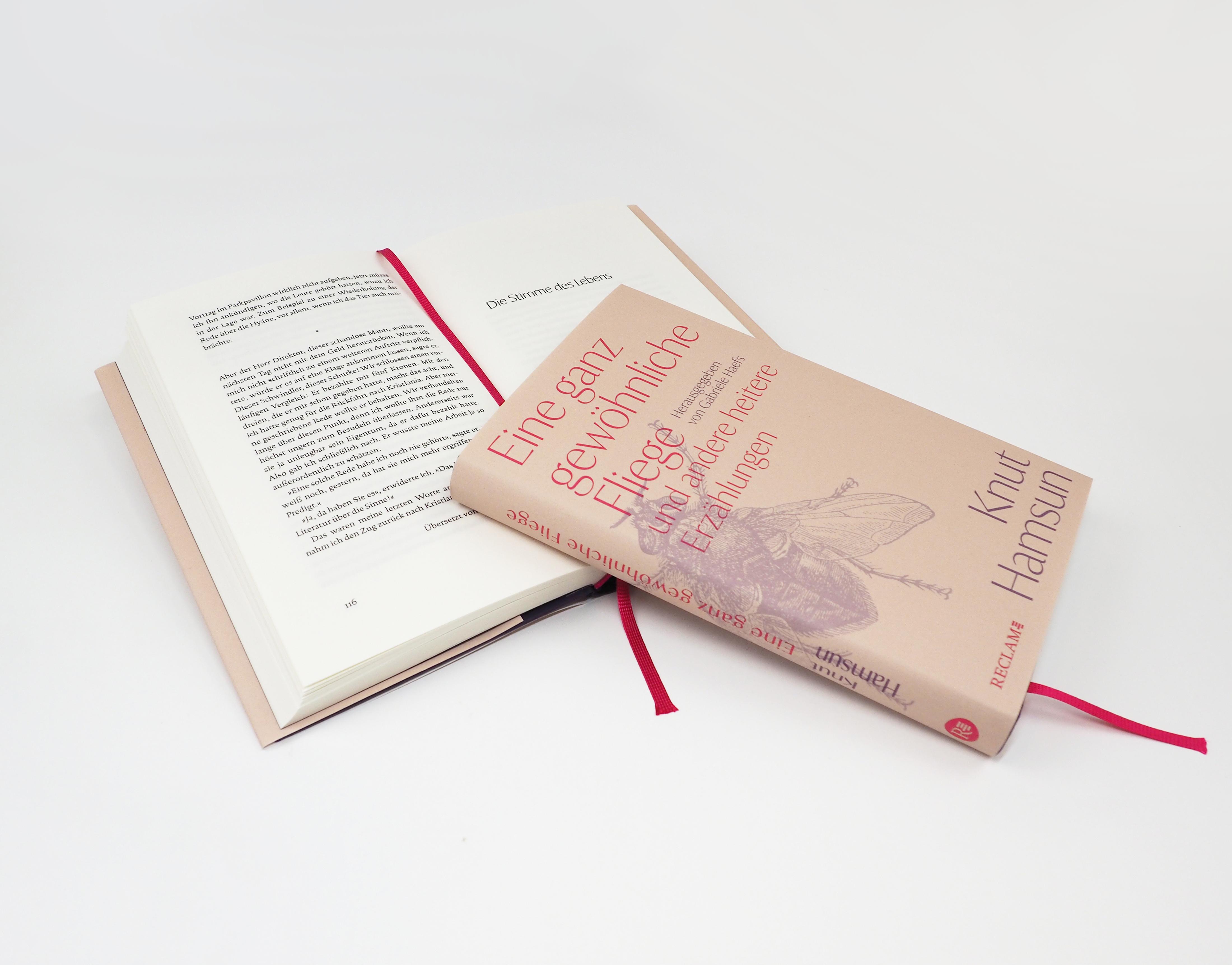 Beispielinhalt (Bild) Eine ganz gewöhnliche Fliege und andere heitere Erzählungen