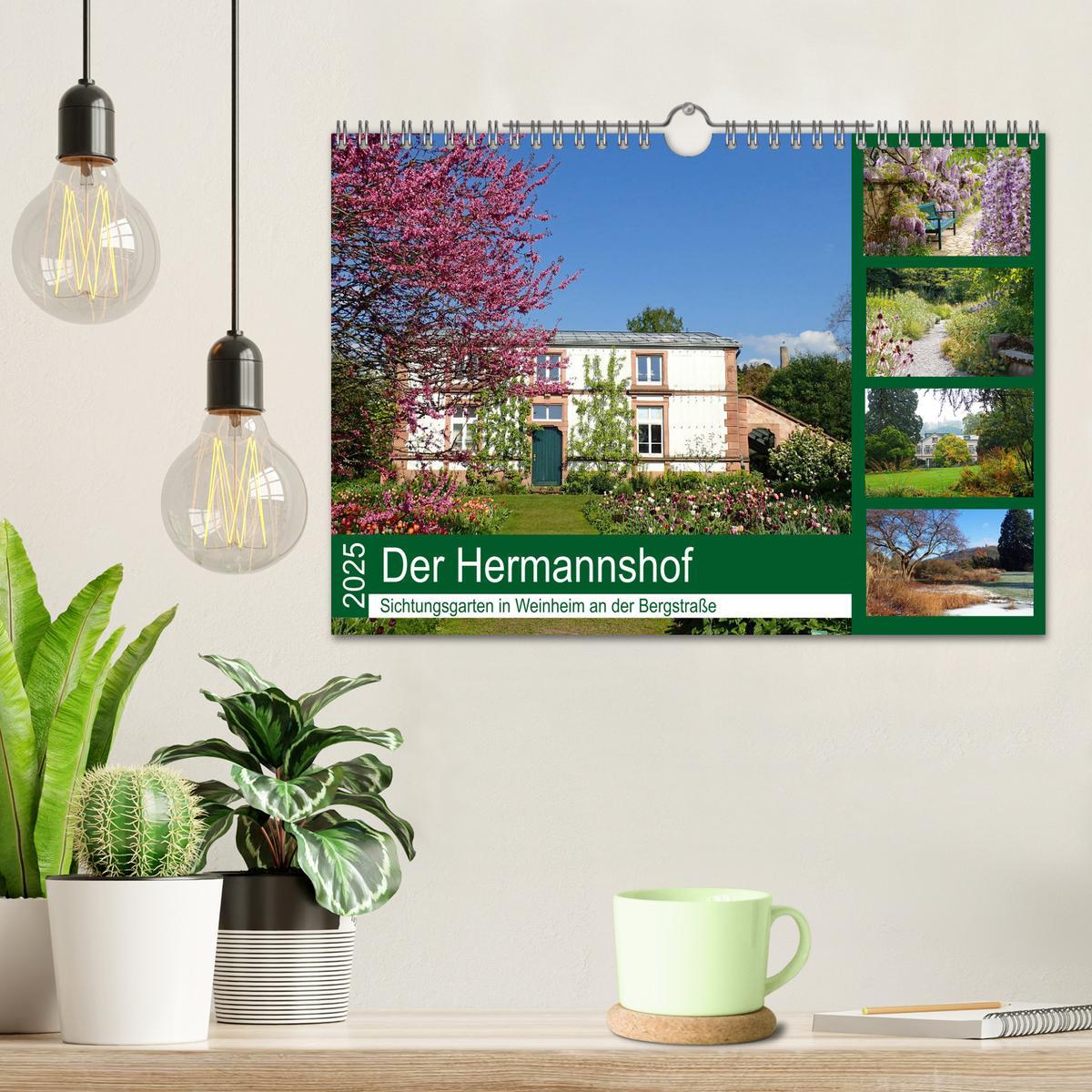 Beispielinhalt (Bild) Der Hermannshof Sichtungsgarten in Weinheim an der Bergstraße (Wandkalender 2025 DIN A4 quer), CALVENDO Monatskalender