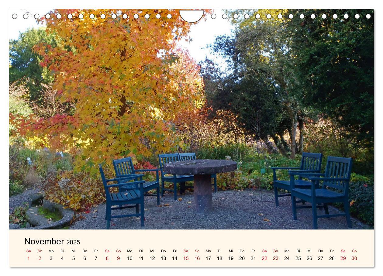 Beispielinhalt (Bild) Der Hermannshof Sichtungsgarten in Weinheim an der Bergstraße (Wandkalender 2025 DIN A4 quer), CALVENDO Monatskalender