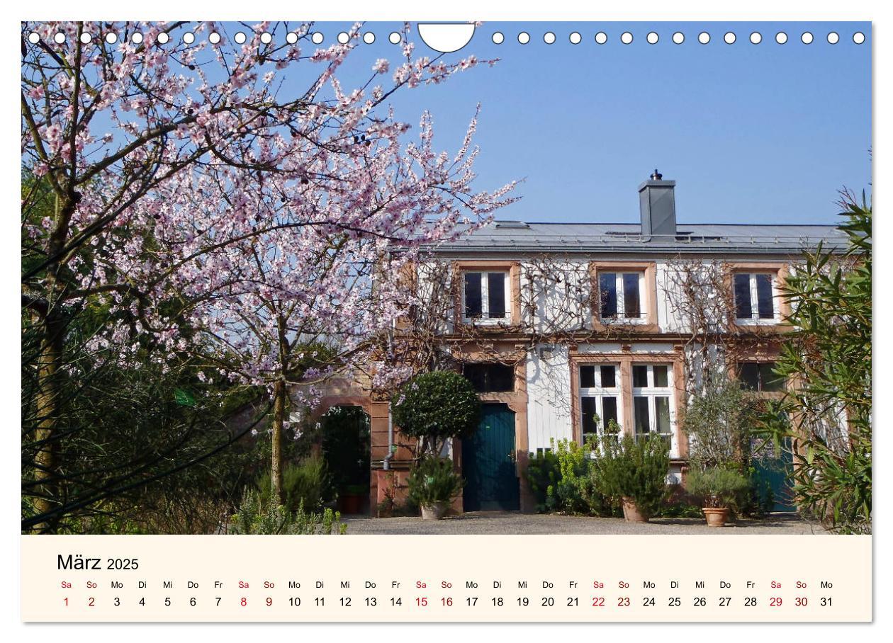 Beispielinhalt (Bild) Der Hermannshof Sichtungsgarten in Weinheim an der Bergstraße (Wandkalender 2025 DIN A4 quer), CALVENDO Monatskalender