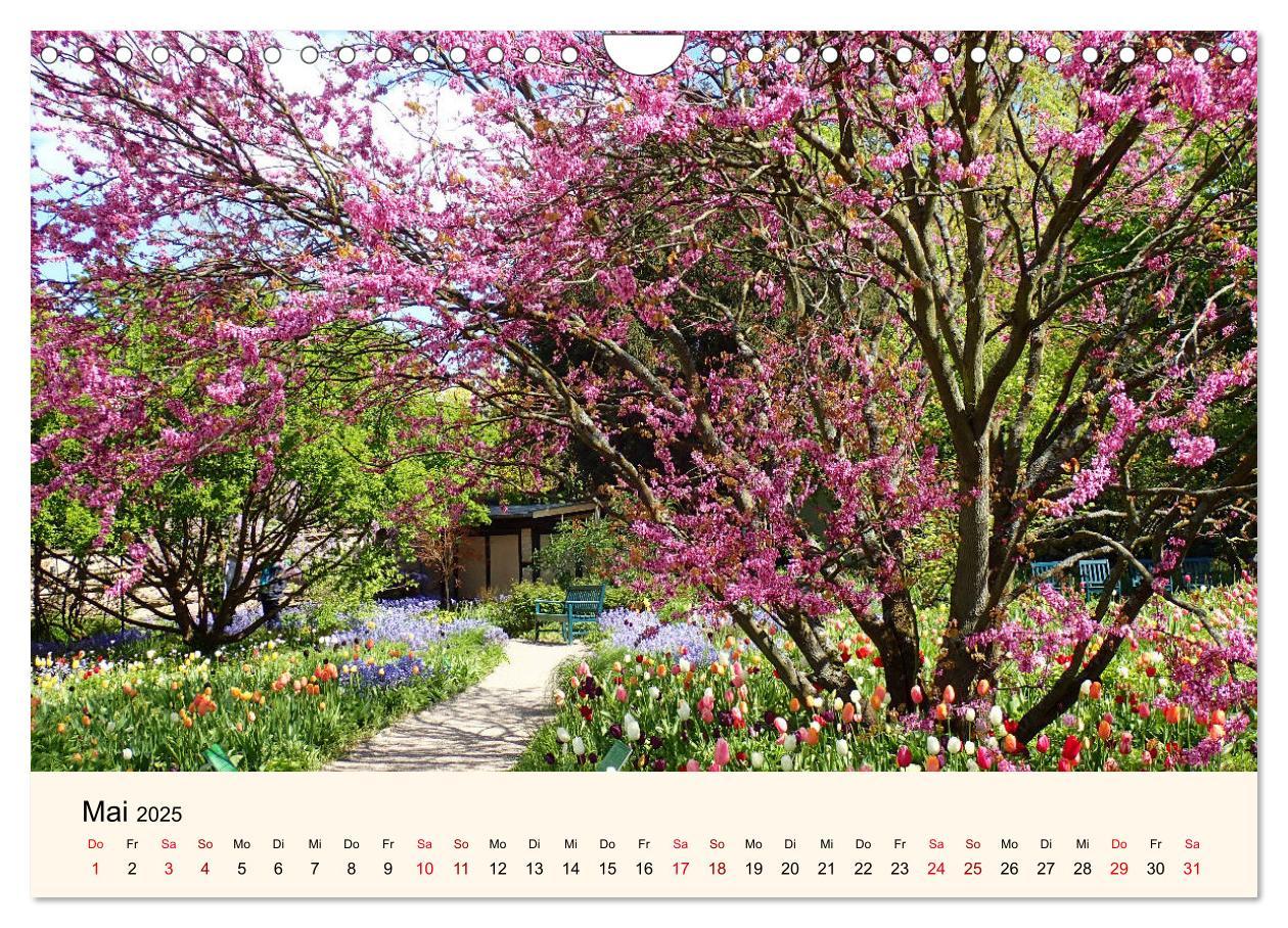 Beispielinhalt (Bild) Der Hermannshof Sichtungsgarten in Weinheim an der Bergstraße (Wandkalender 2025 DIN A4 quer), CALVENDO Monatskalender