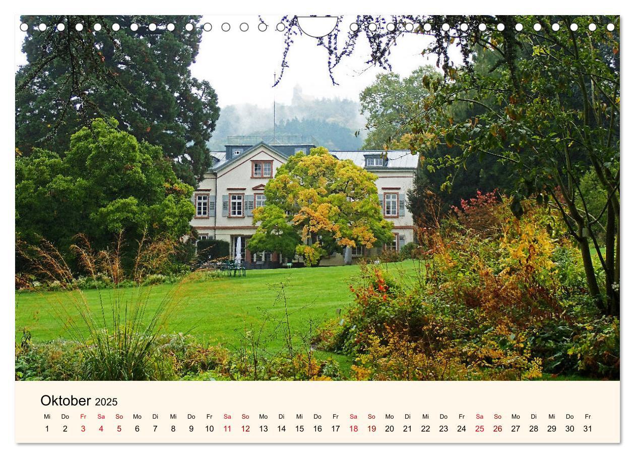 Beispielinhalt (Bild) Der Hermannshof Sichtungsgarten in Weinheim an der Bergstraße (Wandkalender 2025 DIN A4 quer), CALVENDO Monatskalender