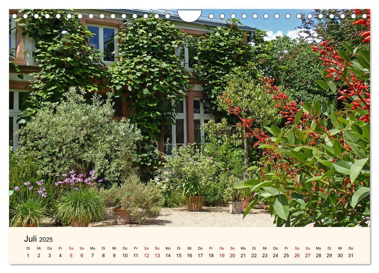 Beispielinhalt (Bild) Der Hermannshof Sichtungsgarten in Weinheim an der Bergstraße (Wandkalender 2025 DIN A4 quer), CALVENDO Monatskalender