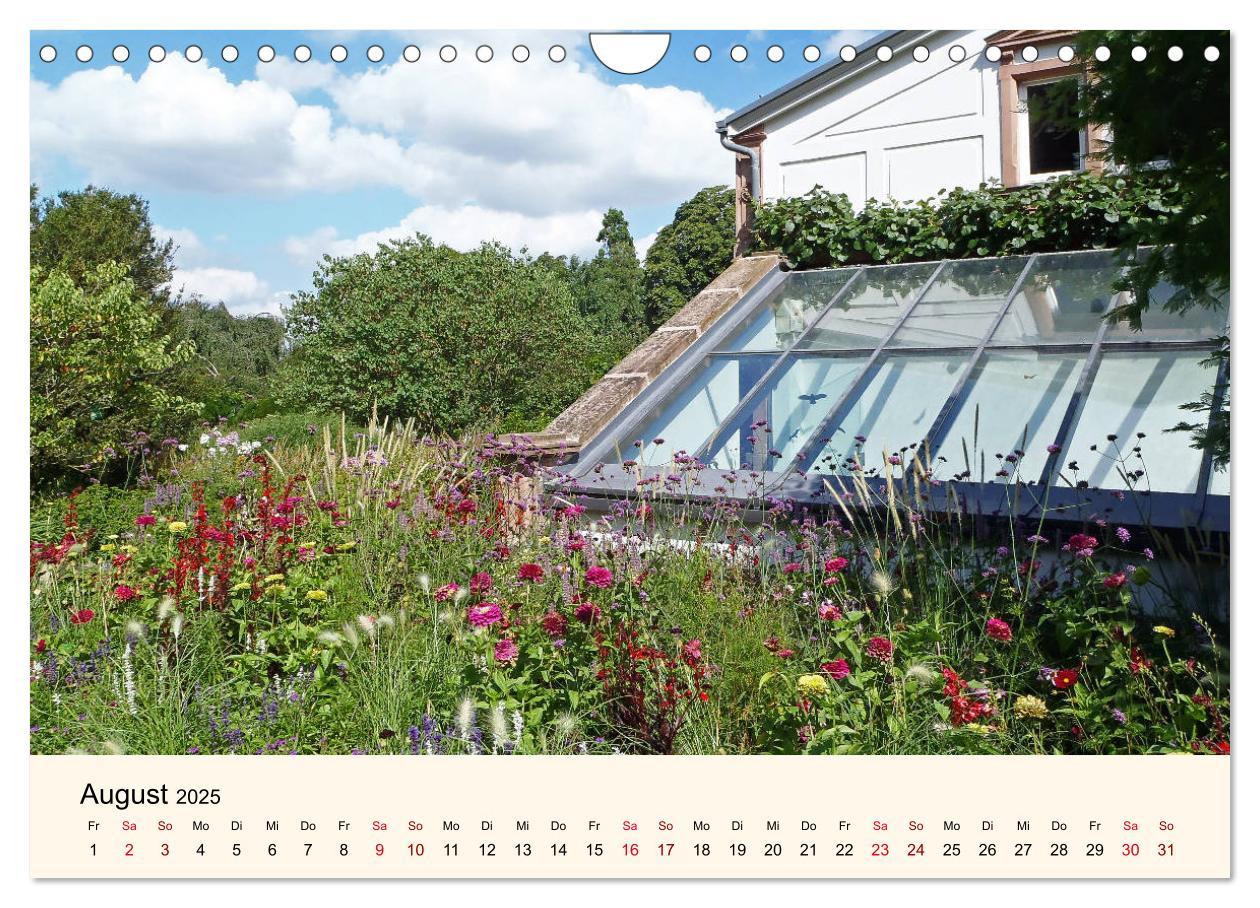 Beispielinhalt (Bild) Der Hermannshof Sichtungsgarten in Weinheim an der Bergstraße (Wandkalender 2025 DIN A4 quer), CALVENDO Monatskalender