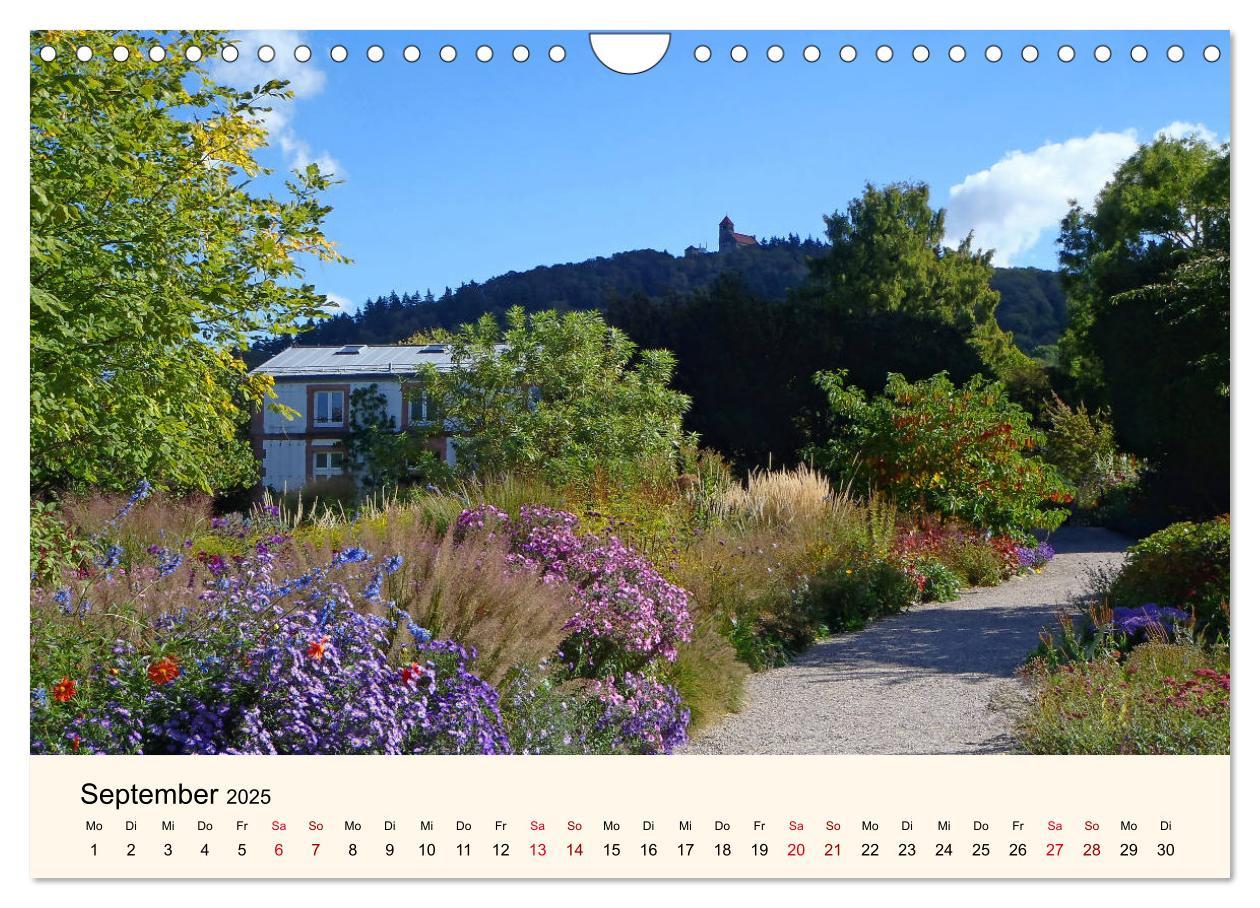 Beispielinhalt (Bild) Der Hermannshof Sichtungsgarten in Weinheim an der Bergstraße (Wandkalender 2025 DIN A4 quer), CALVENDO Monatskalender