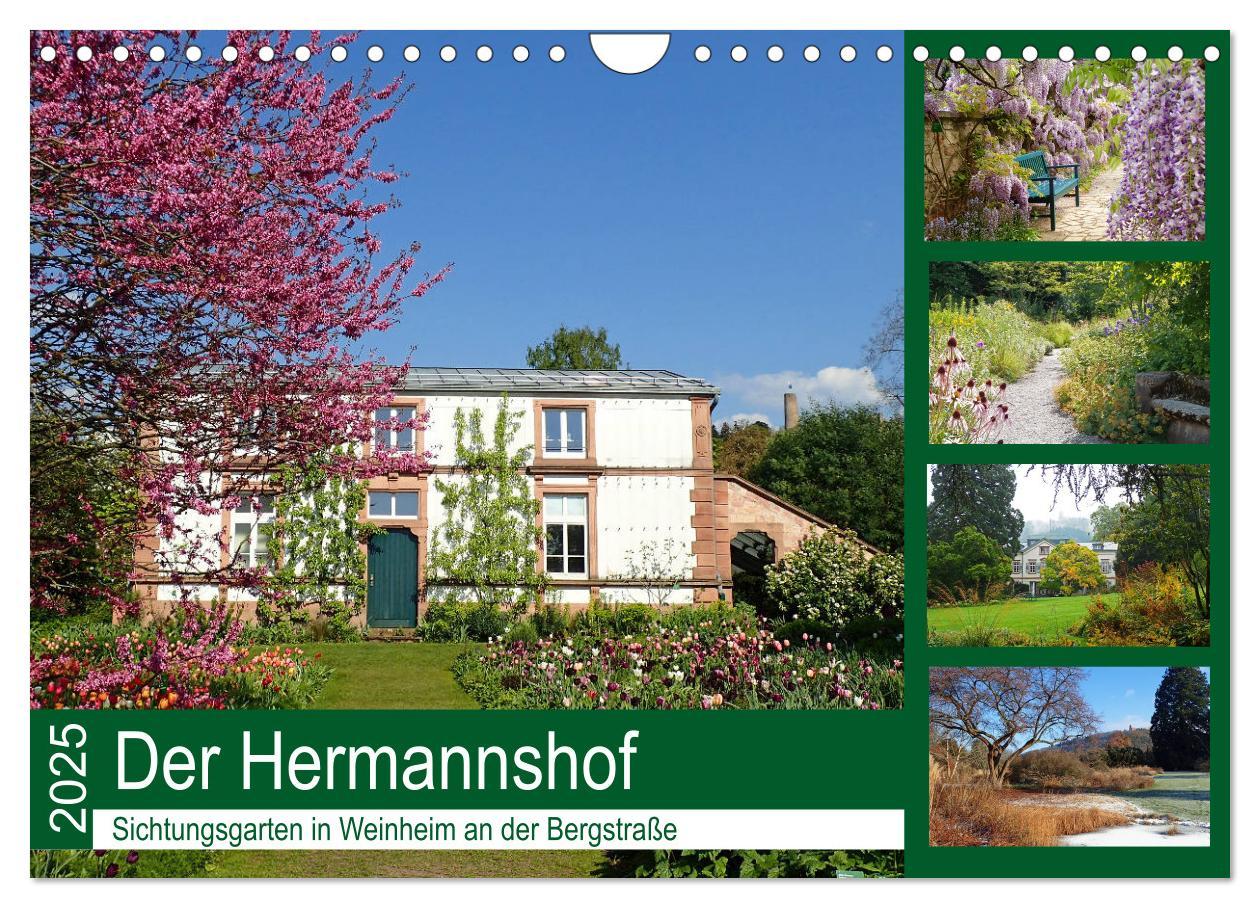 Vorderes Coverbild Der Hermannshof Sichtungsgarten in Weinheim an der Bergstraße (Wandkalender 2025 DIN A4 quer), CALVENDO Monatskalender