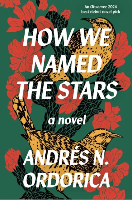 Vorderes Coverbild How We Named the Stars