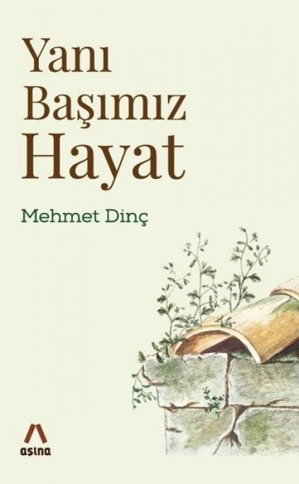 Vorderes Coverbild Yani Basimiz Hayat