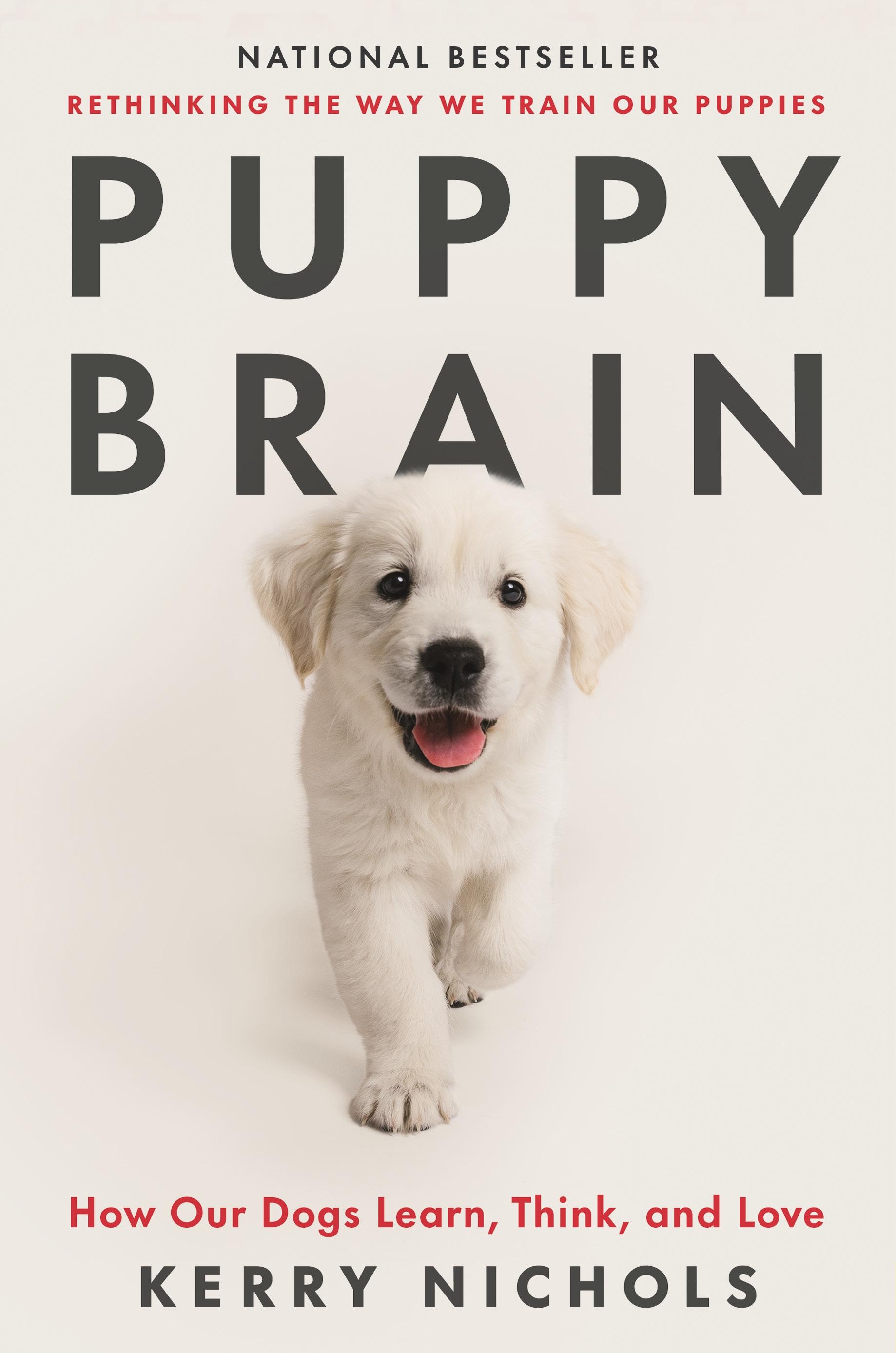Vorderes Coverbild Puppy Brain