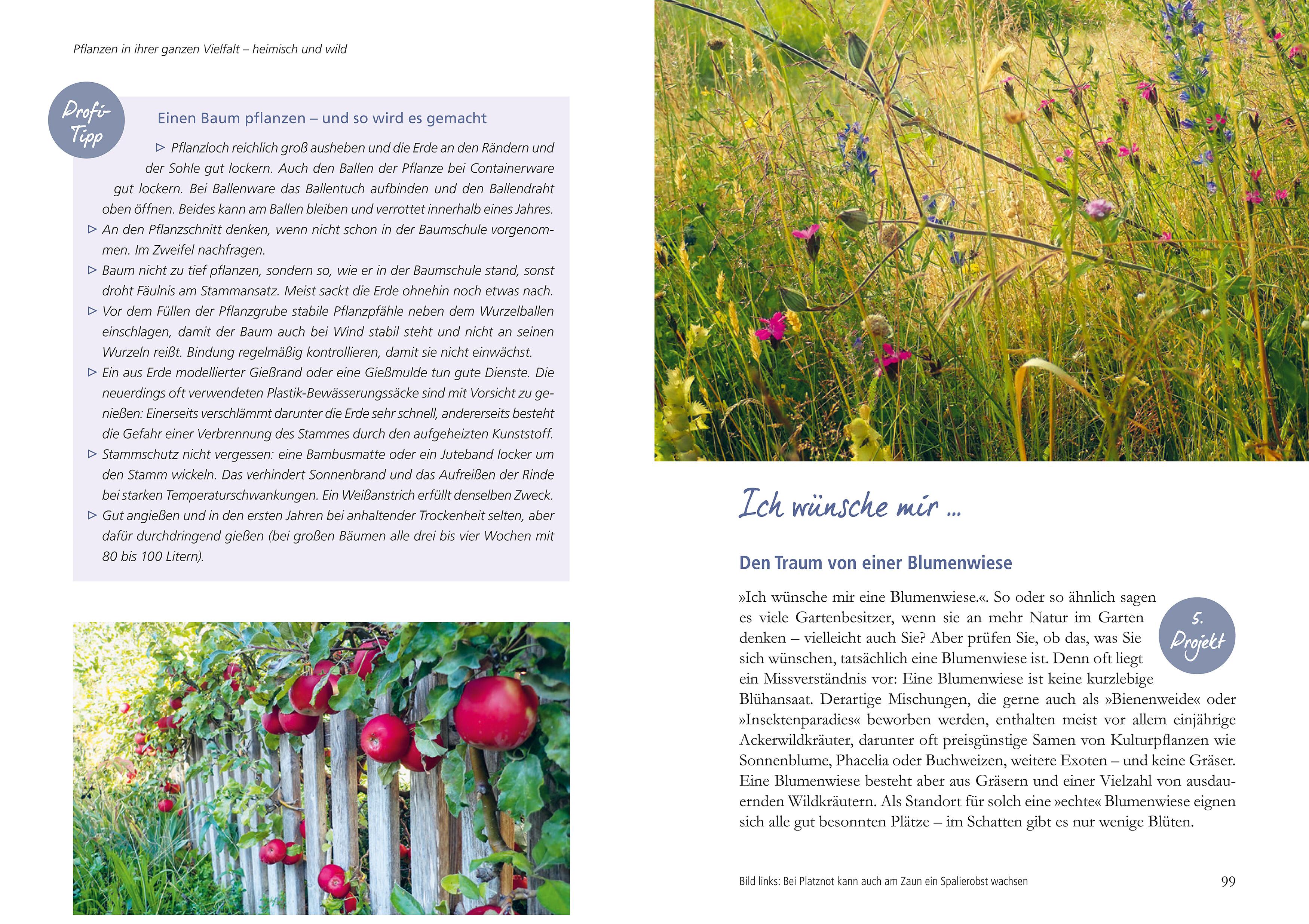 Beispielinhalt (Bild) Mein Garten wird ein Naturgarten