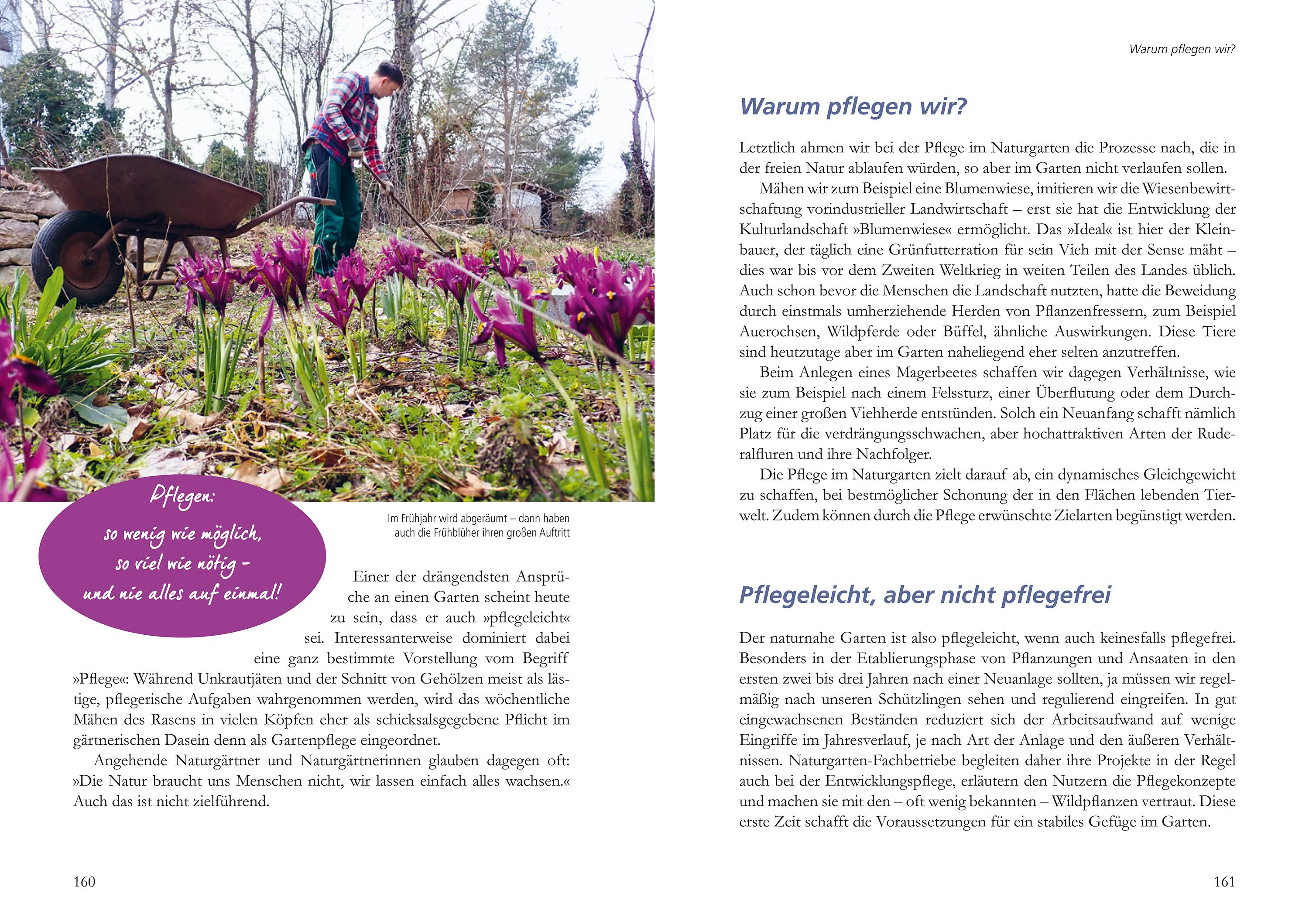 Beispielinhalt (Bild) Mein Garten wird ein Naturgarten