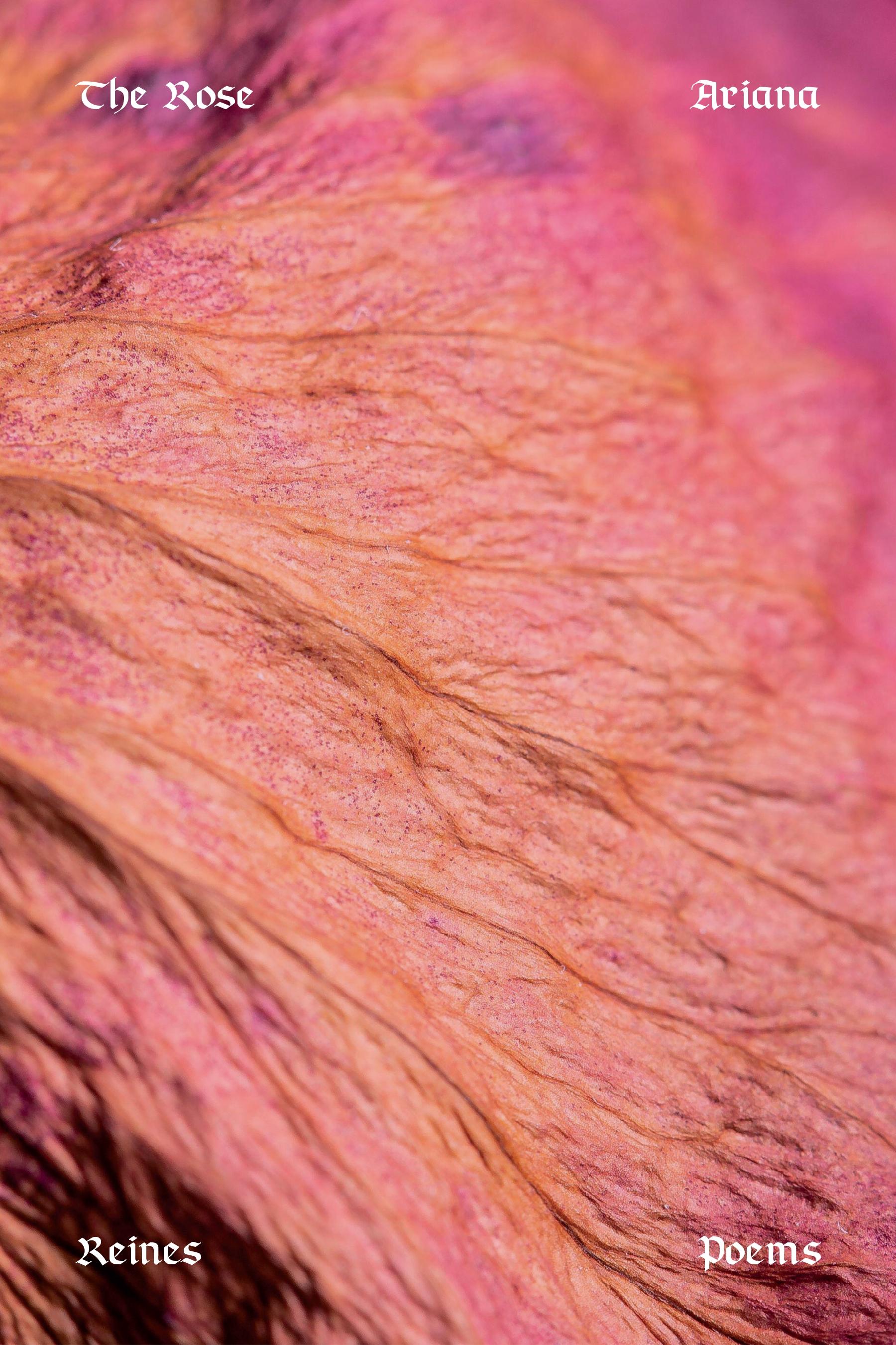 Vorderes Coverbild The Rose