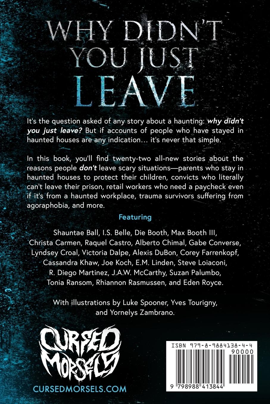 Rückseitencover Why Didn't You Just Leave