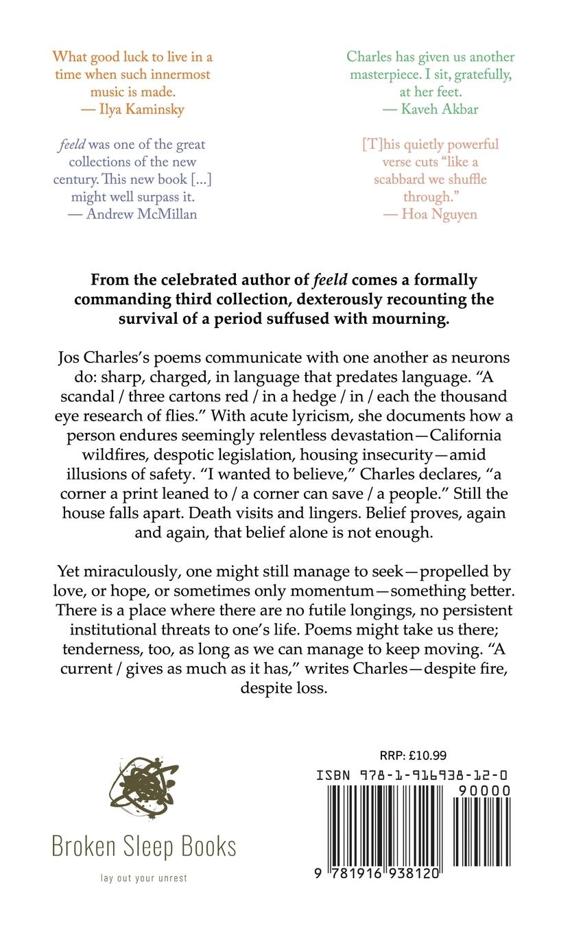 Rückseitencover a Year & other poems