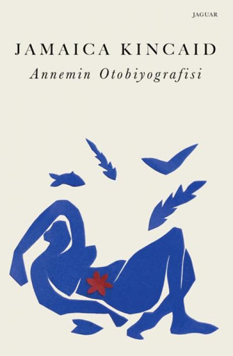 Vorderes Coverbild Annemin Otobiyografisi