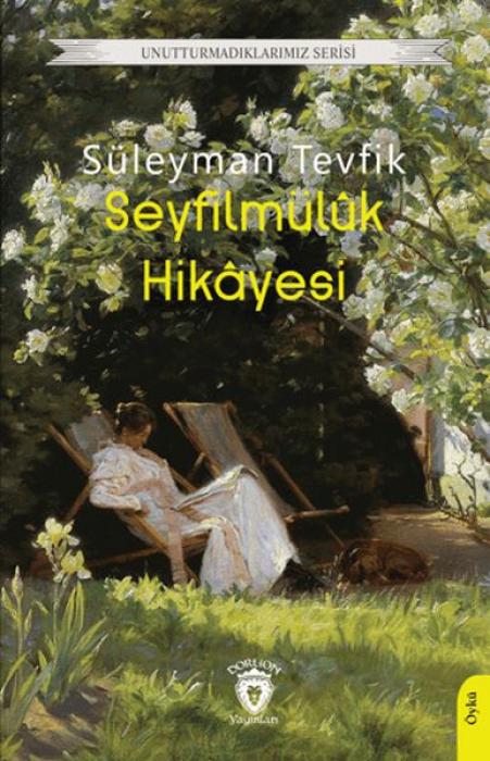 Vorderes Coverbild Seyfilmülk Hikayesi