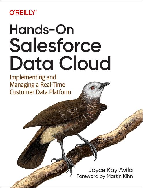 Vorderes Coverbild Hands-On Salesforce Data Cloud