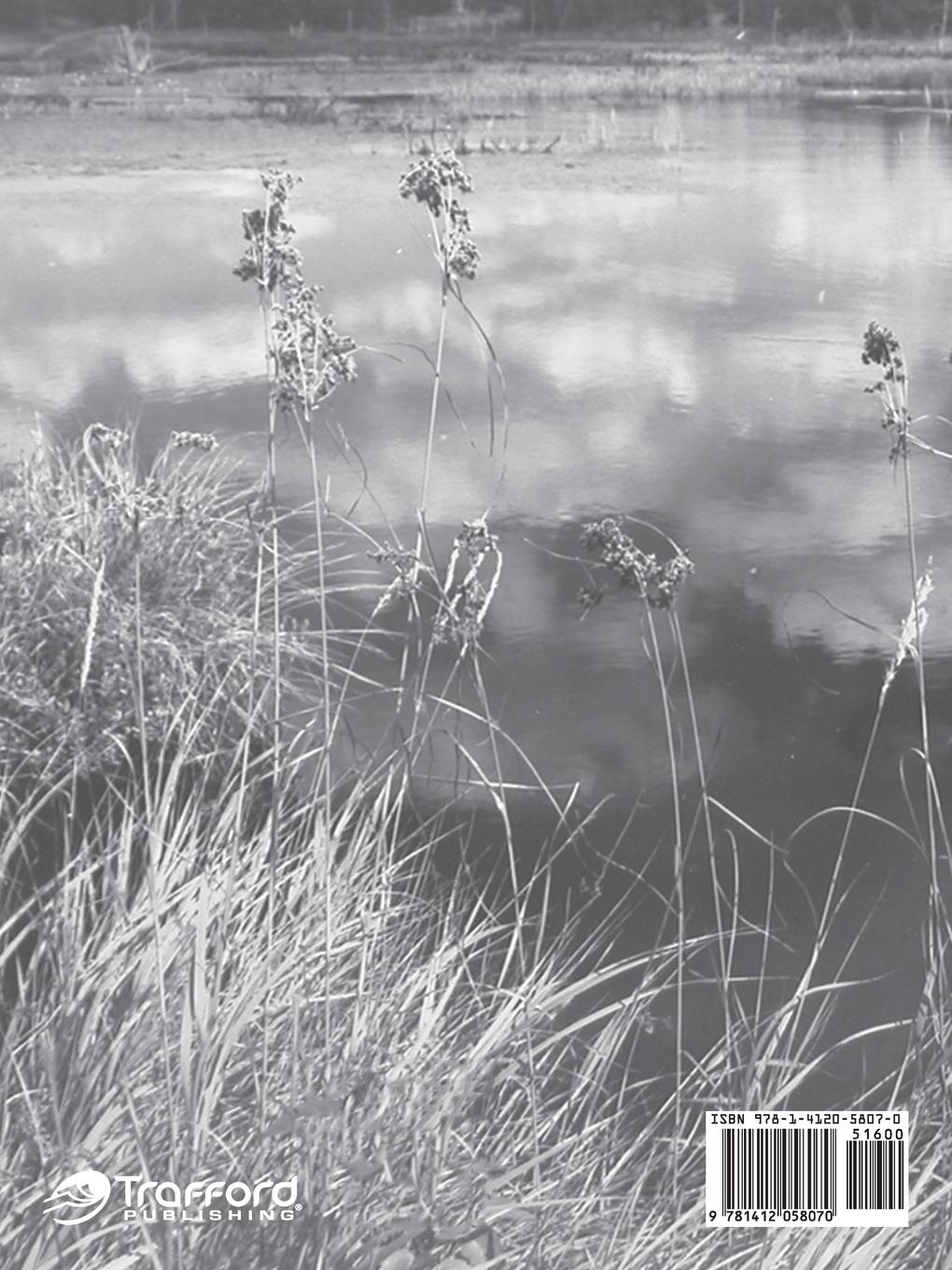 Rückseitencover Reflections Through a Special Lens