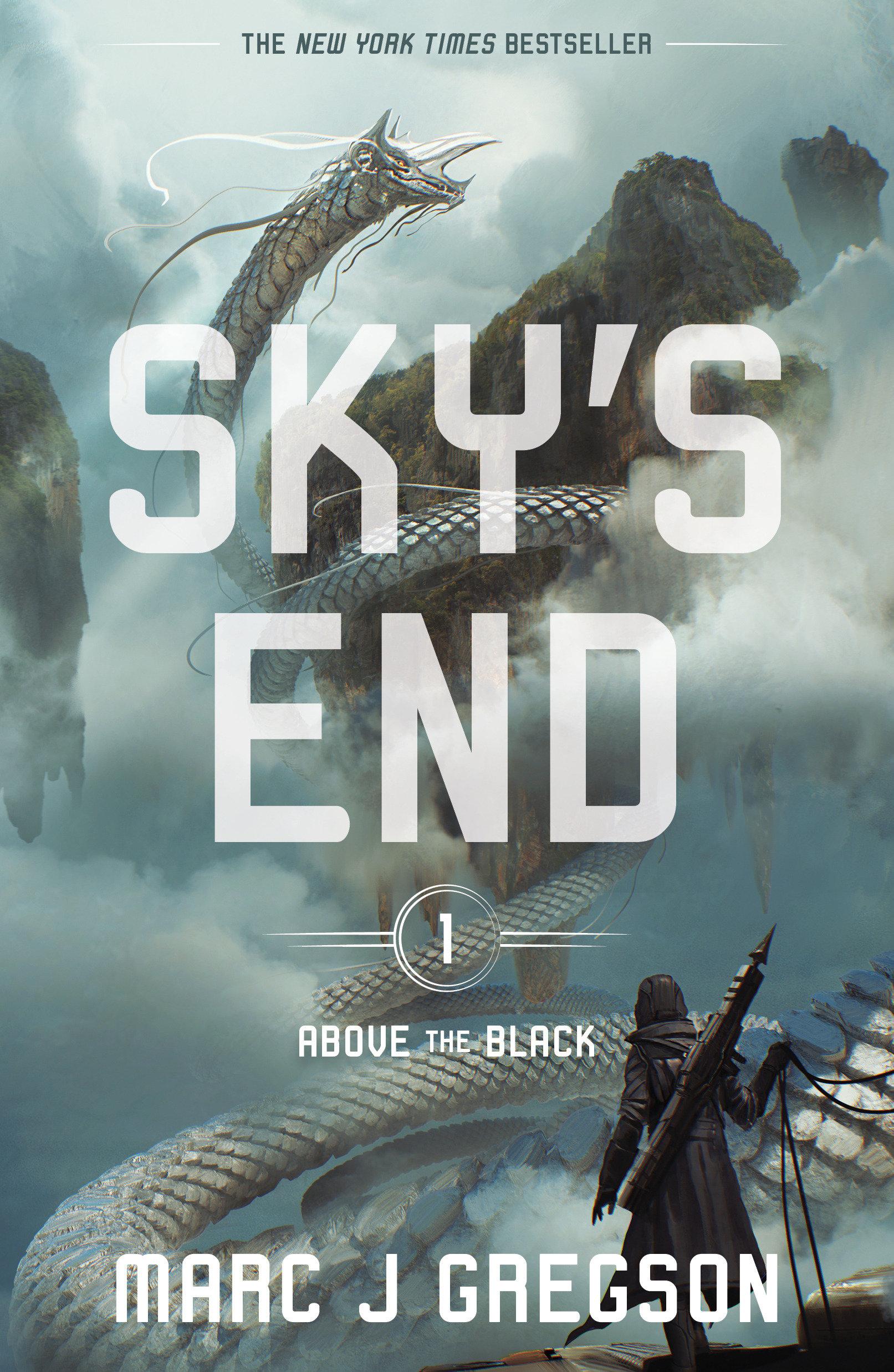 Vorderes Coverbild Sky's End