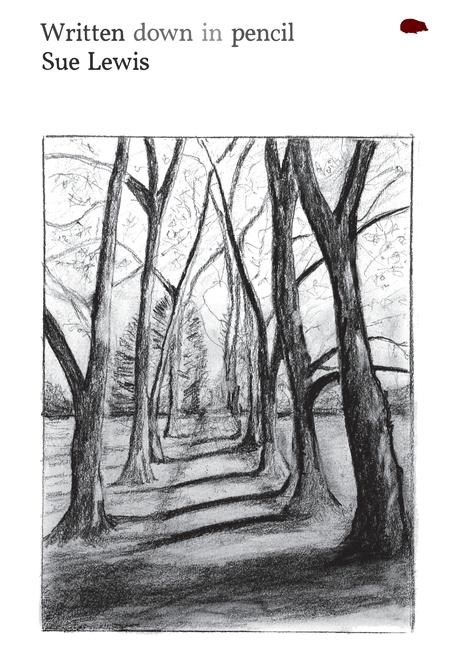 Vorderes Coverbild Written down in pencil