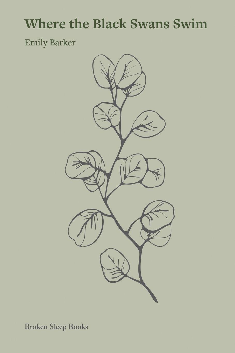 Vorderes Coverbild Where the Black Swans Swim