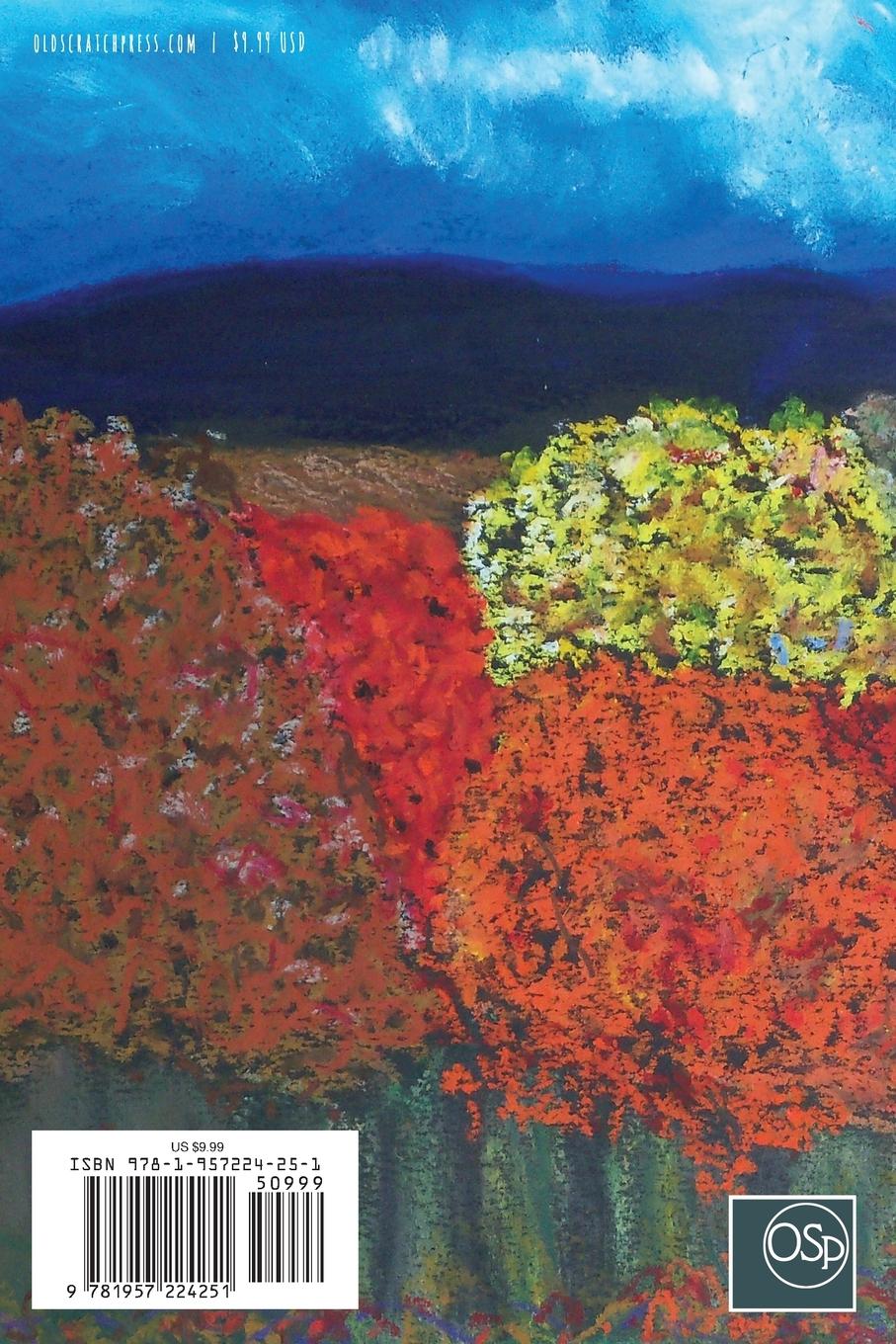 Rückseitencover The Song of North Mountain