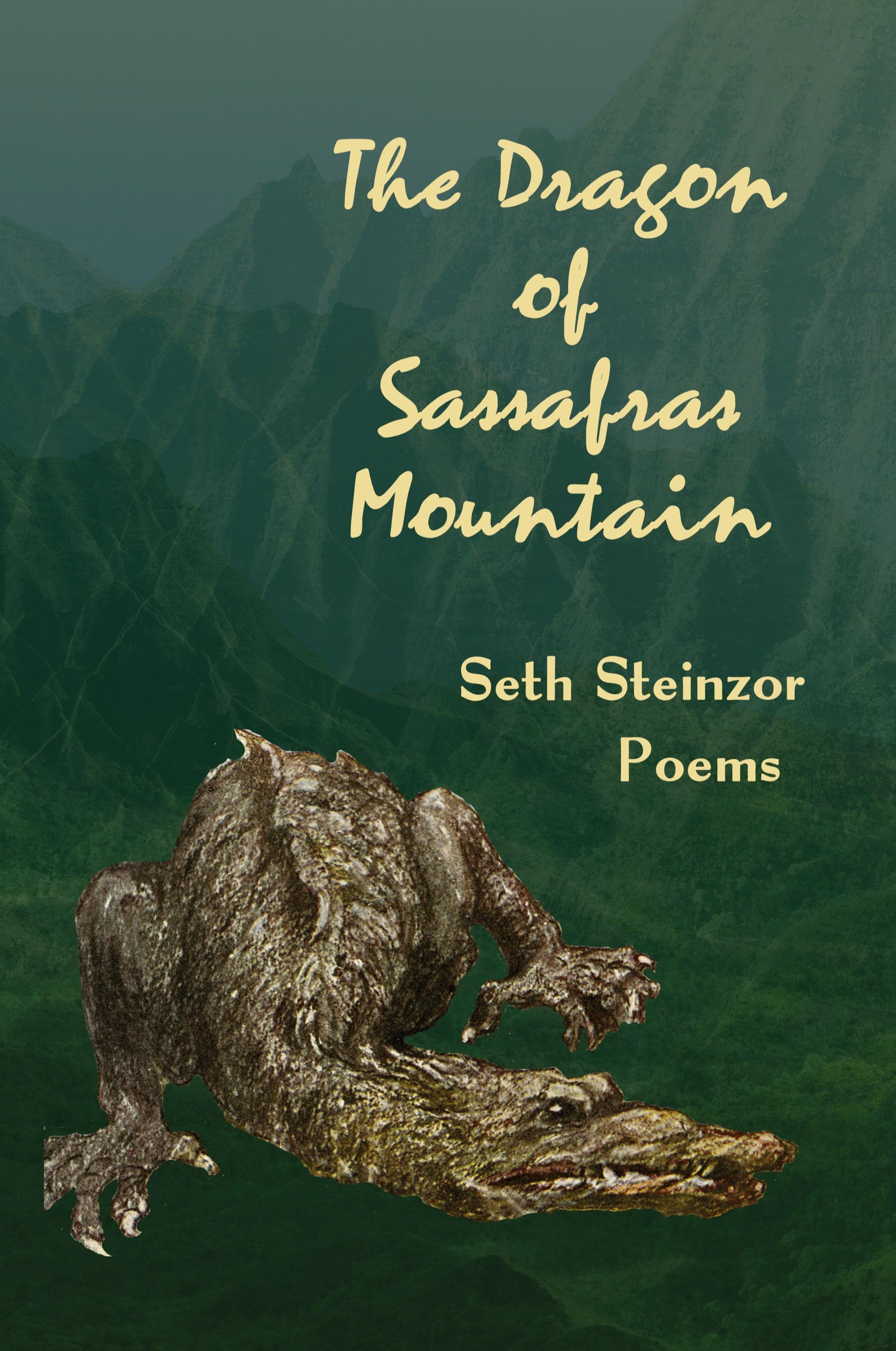 Vorderes Coverbild The Dragon of Sassafras Mountain