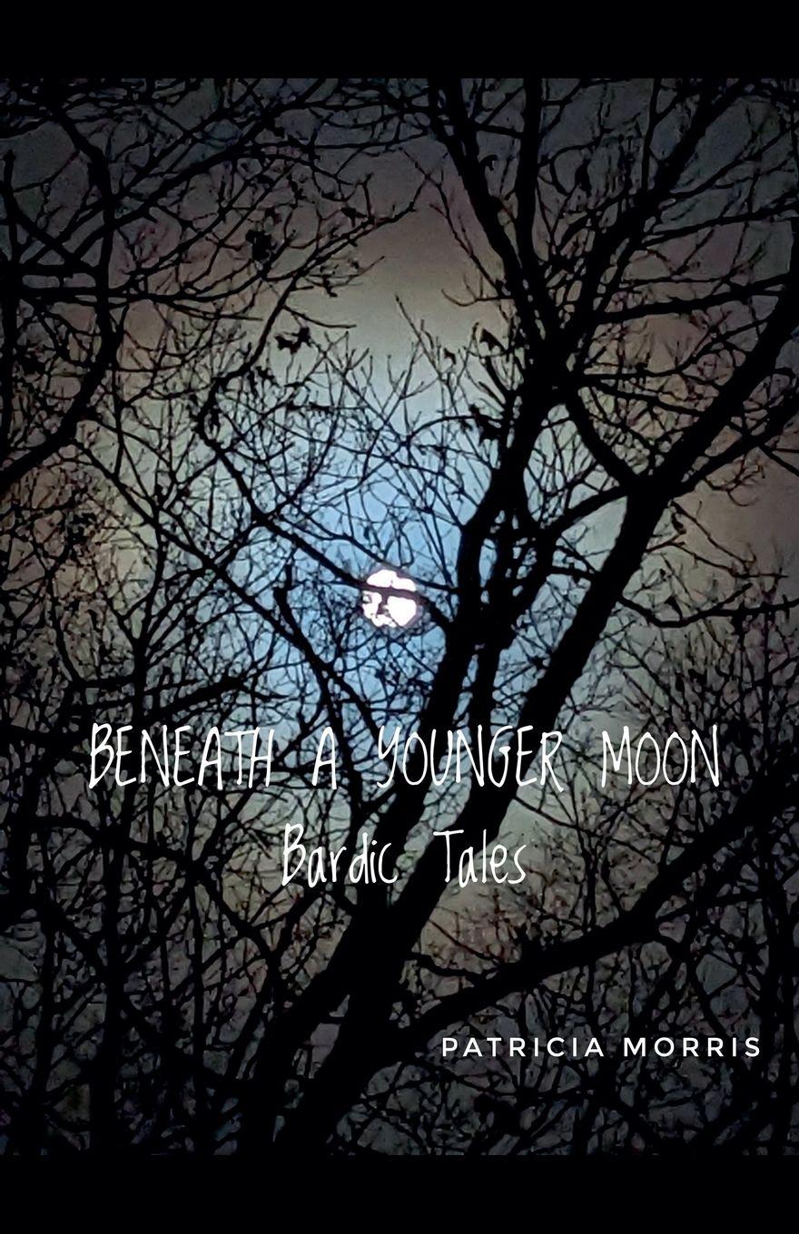 Vorderes Coverbild Beneath a Younger Moon