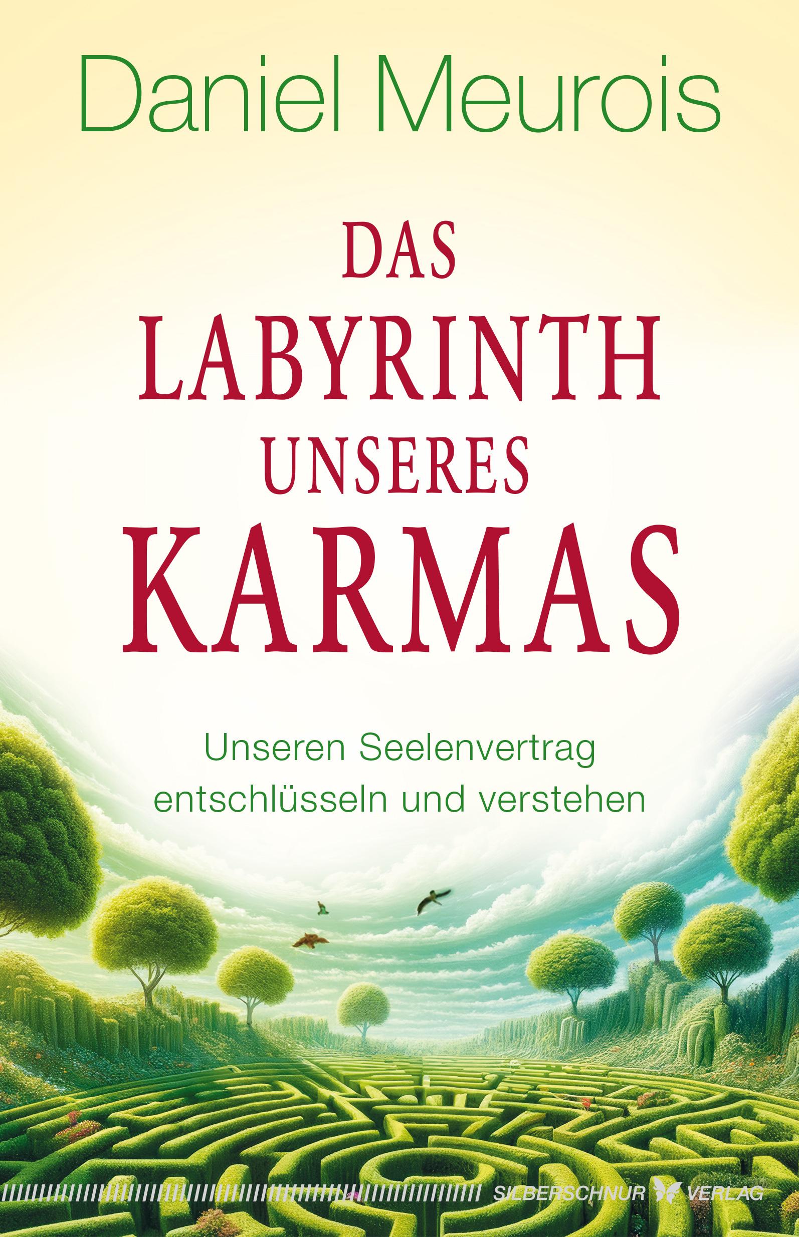 Vorderes Coverbild Das Labyrinth unseres Karmas