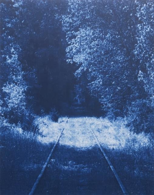 Vorderes Coverbild Ecstatic Nature