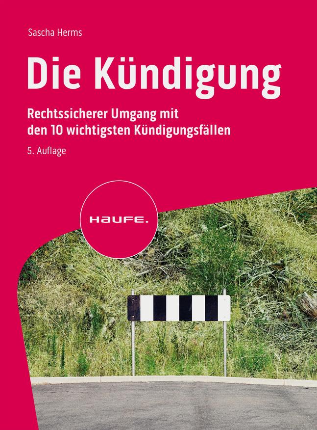 Vorderes Coverbild Die Kündigung