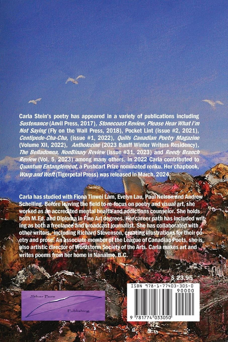 Rückseitencover Zero Hour