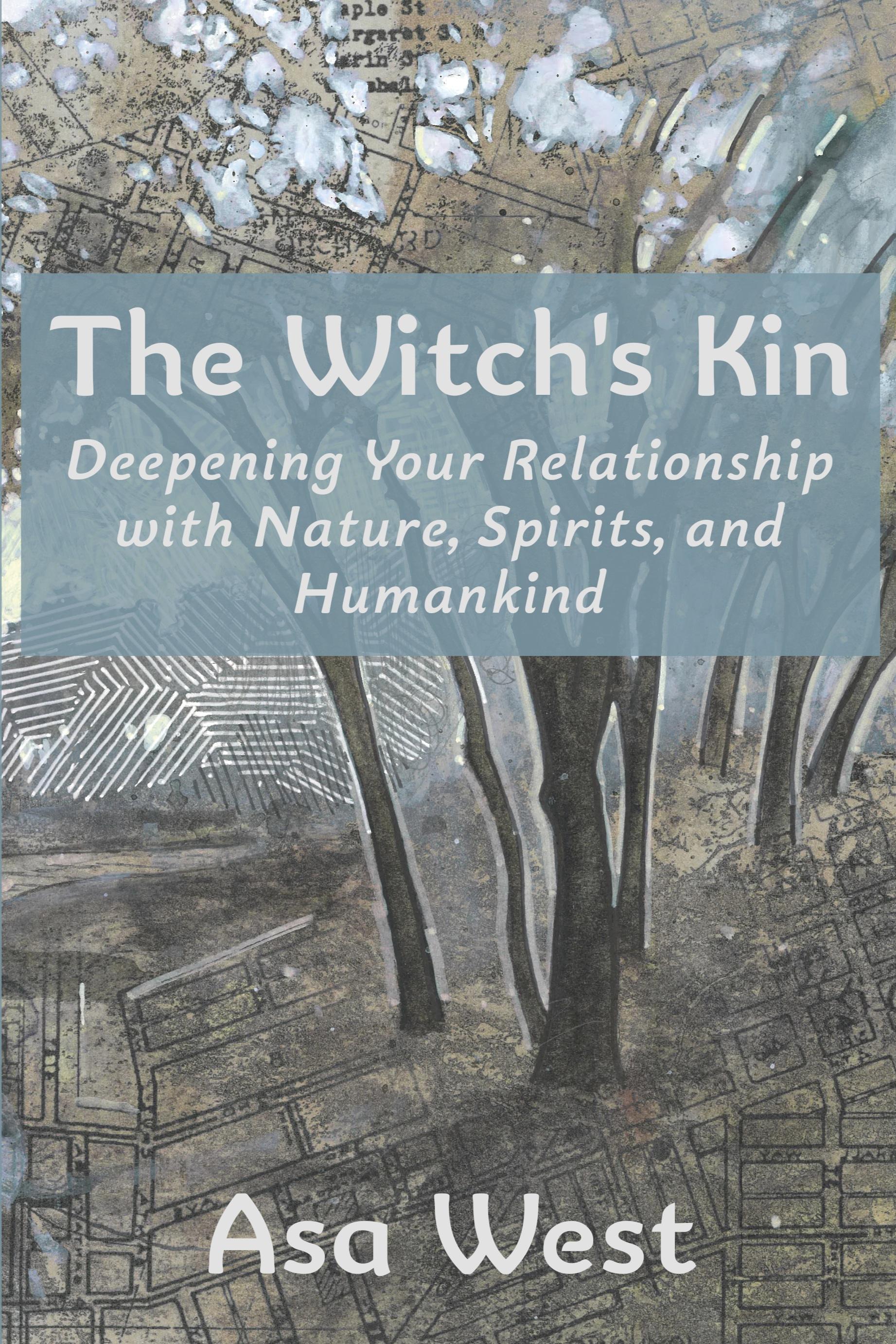 Vorderes Coverbild The Witch's Kin