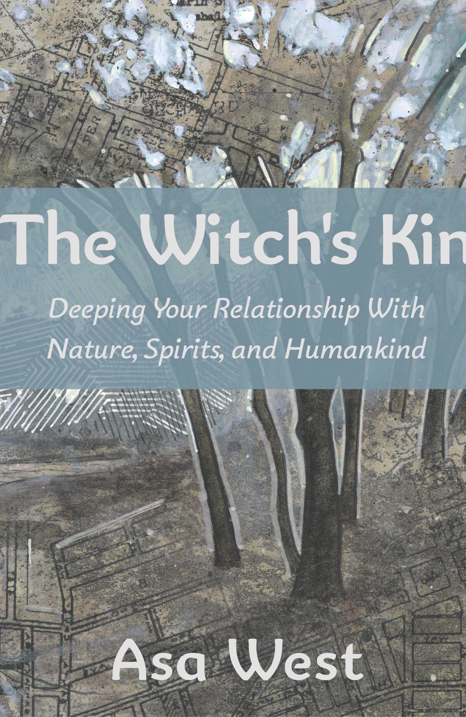 Vorderes Coverbild The Witch's Kin