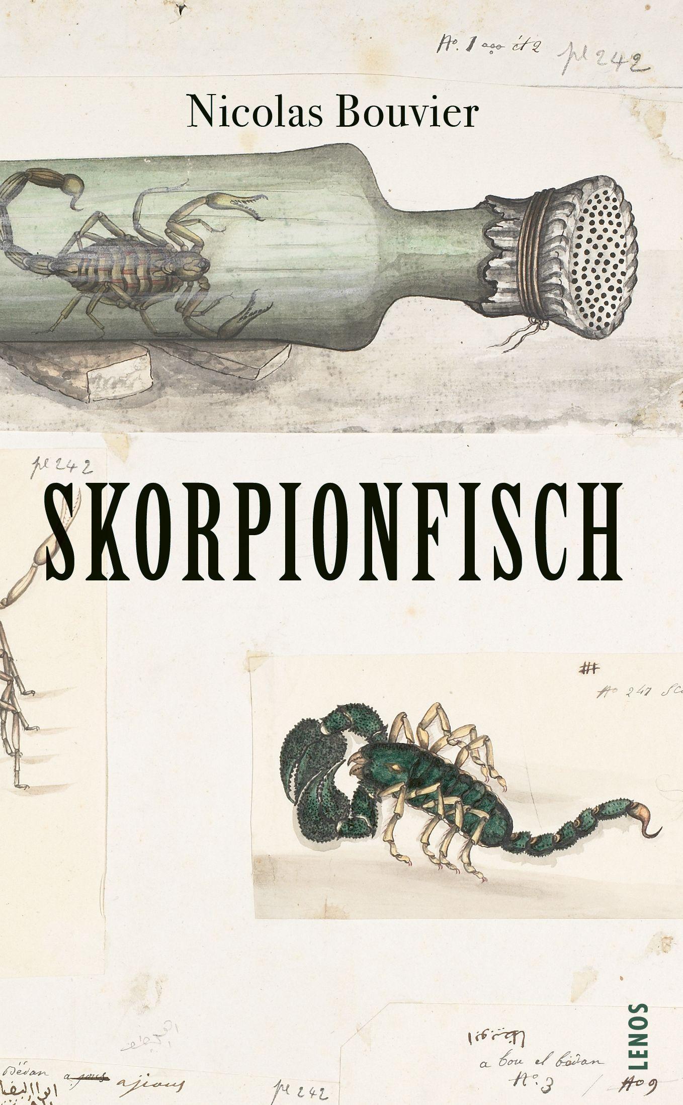 Vorderes Coverbild Skorpionfisch