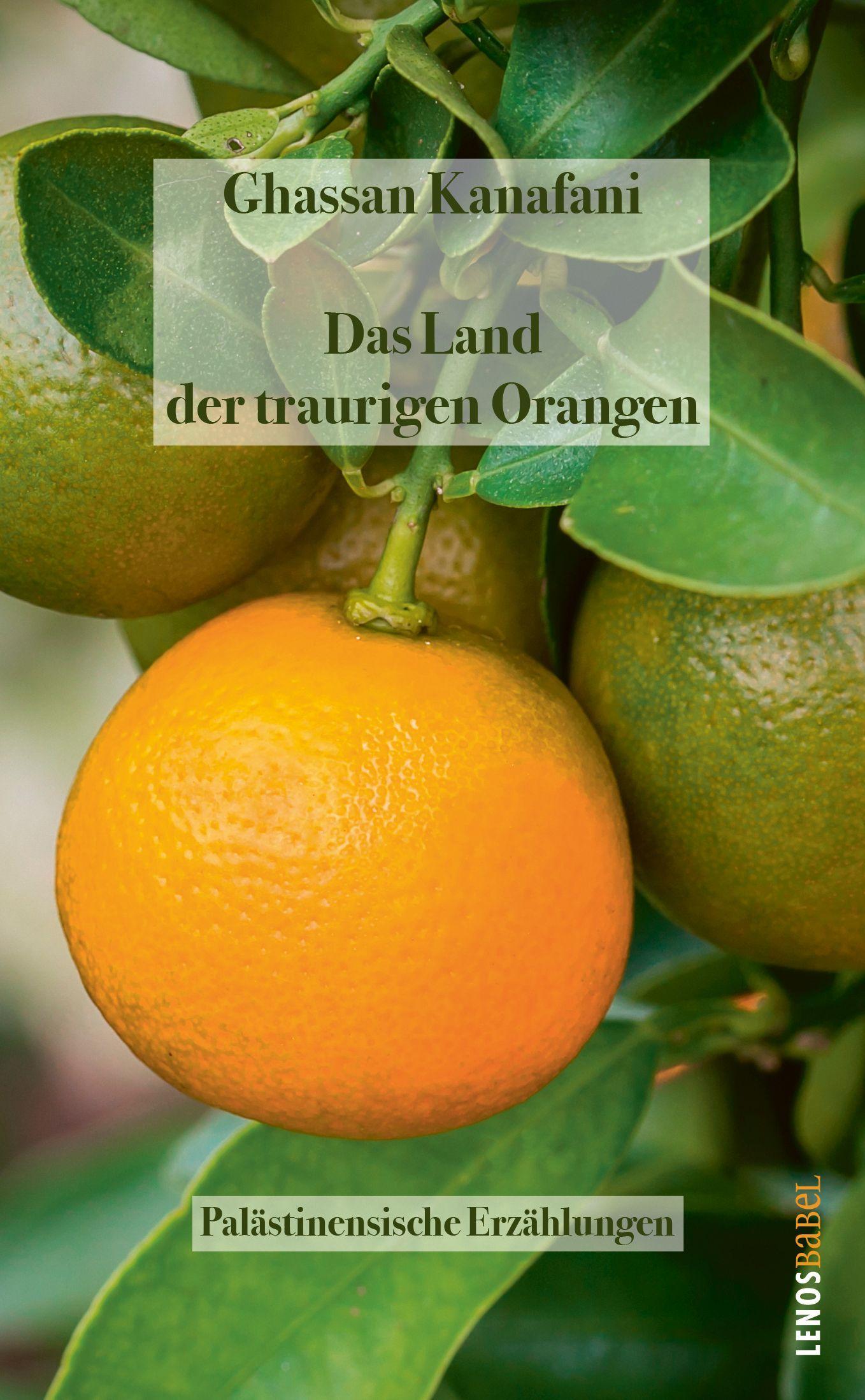 Vorderes Coverbild Das Land der traurigen Orangen