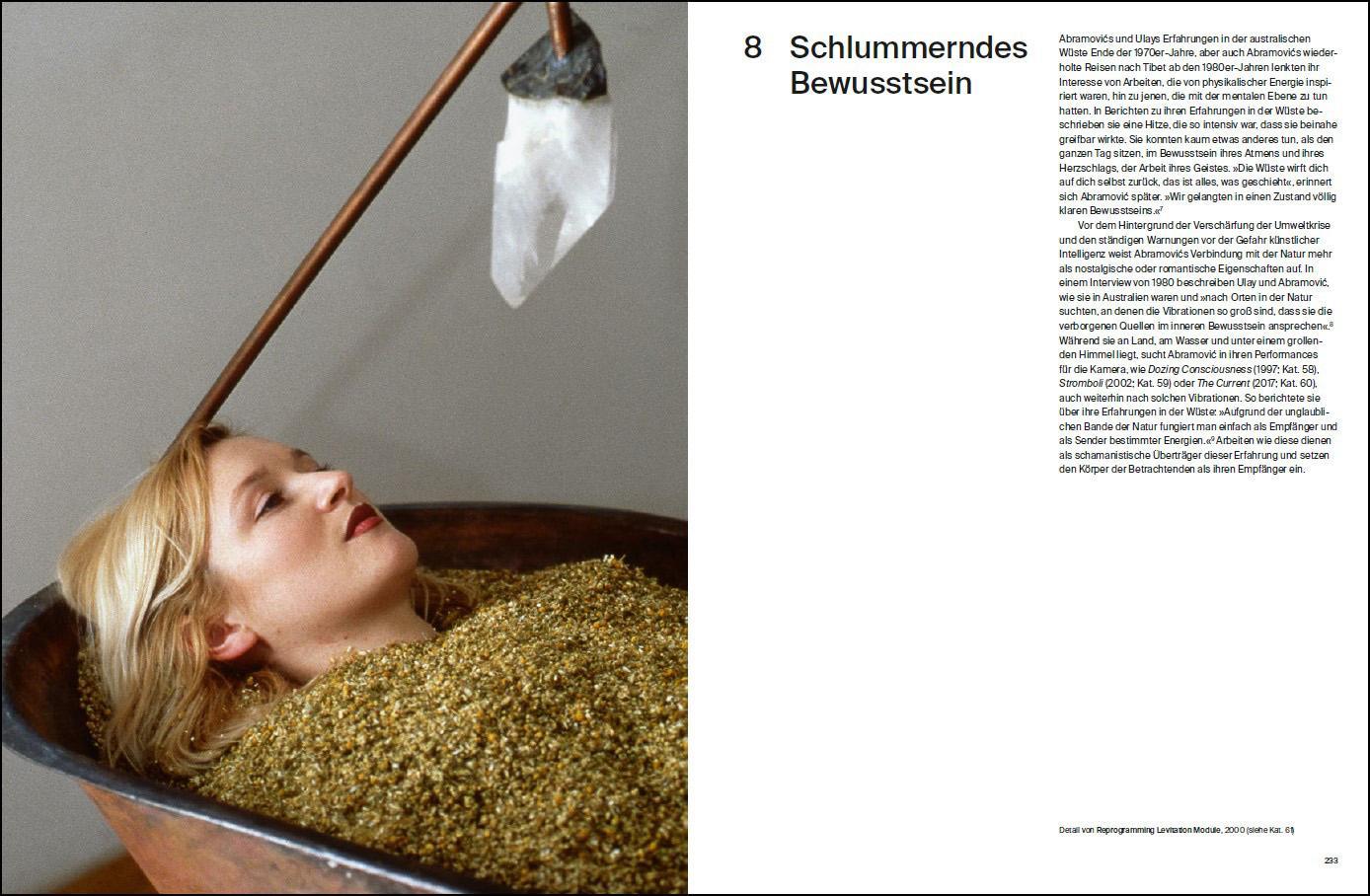 Beispielinhalt (Bild) Marina Abramovic