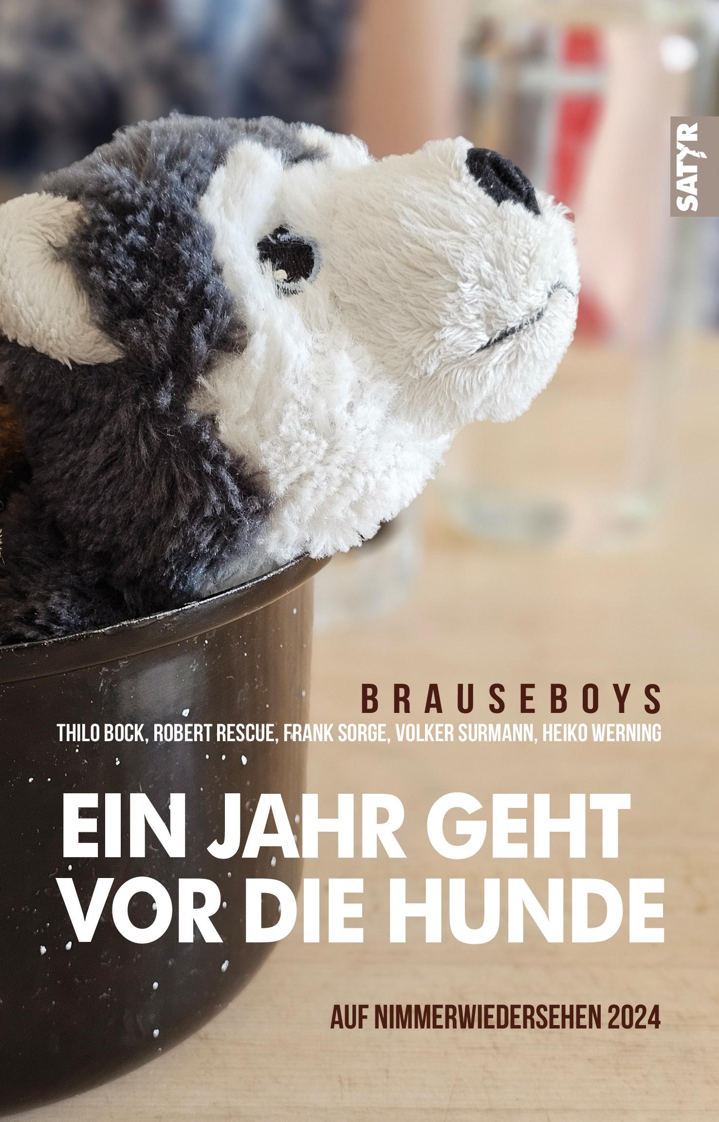 Vorderes Coverbild Auf Nimmerwiedersehen 2024