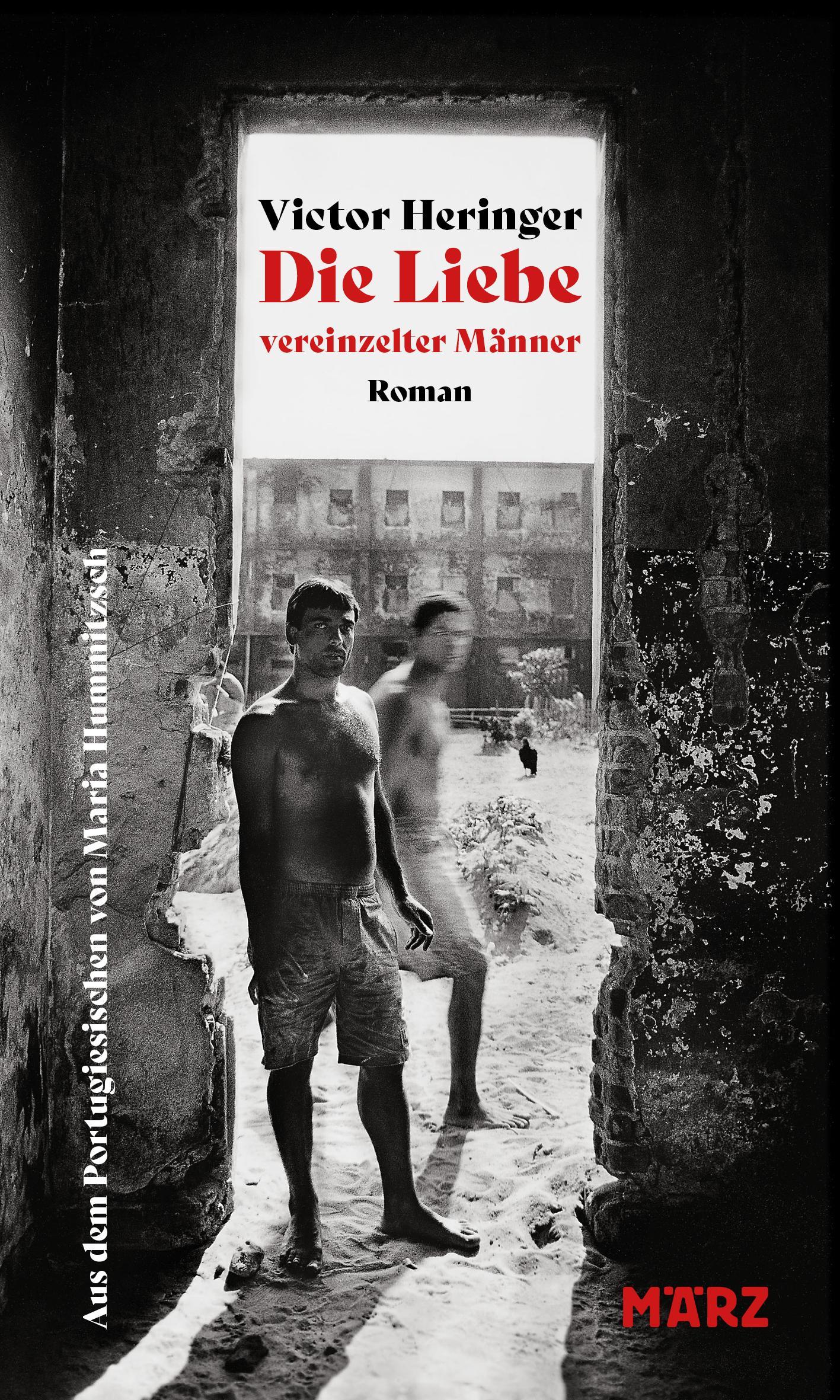 Vorderes Coverbild Die Liebe vereinzelter Männer