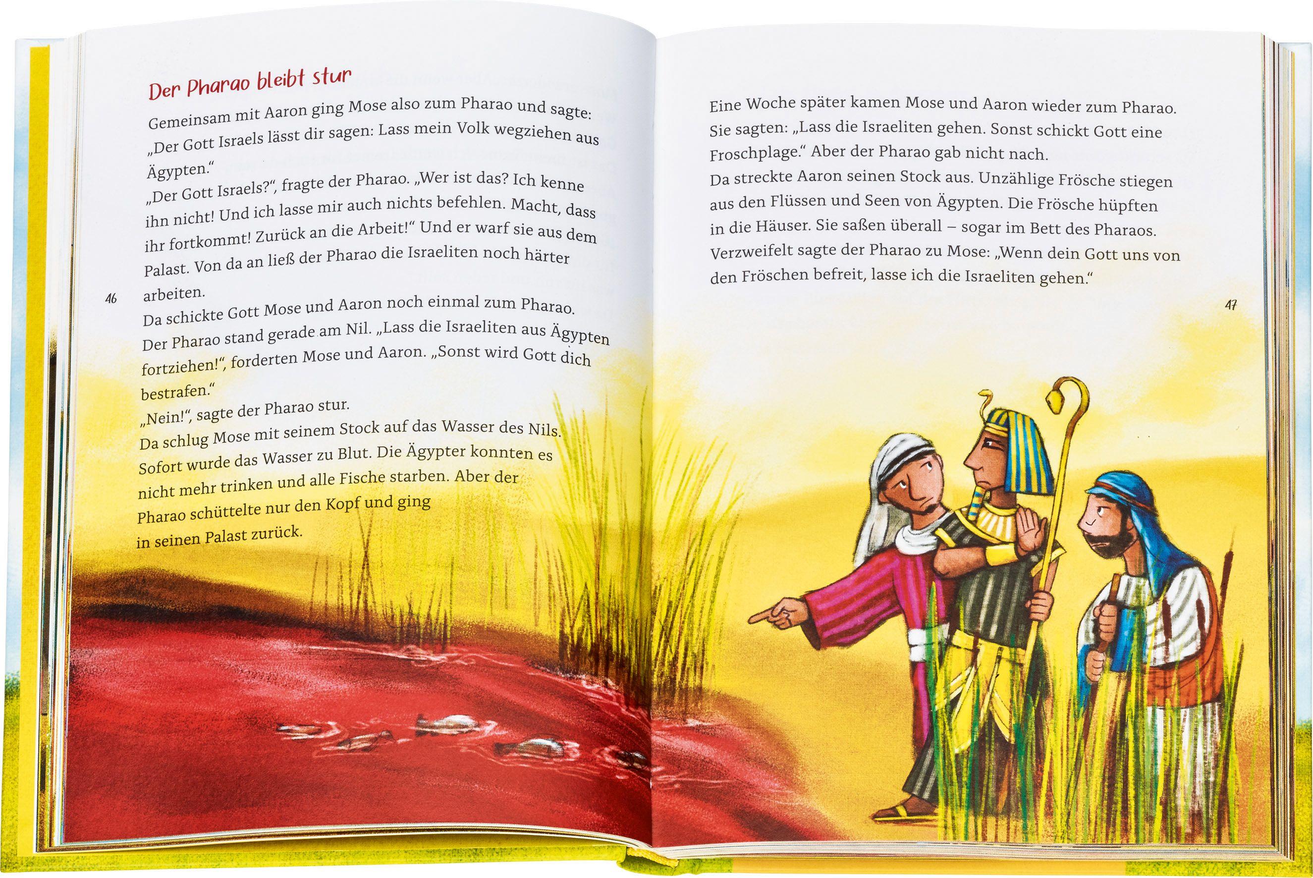 Beispielinhalt (Bild) Die bunte Kinderbibel für dich. Farbenfroh illustrierte Bibel mit den wichtigen Bibelstellen. Spielerisch den Glauben entdecken: Christliche Kindergeschichten für Erstleser ab 6 Jahren