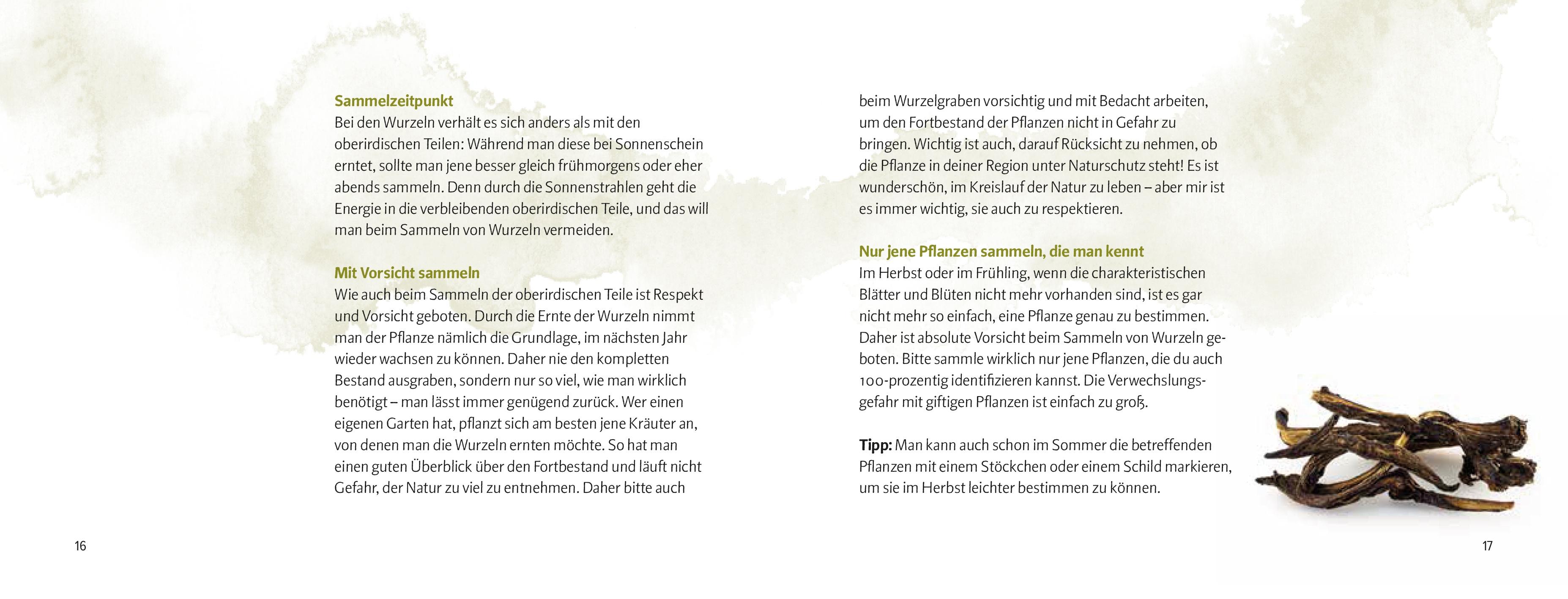 Beispielinhalt (Bild) Wurzeln und Knollen