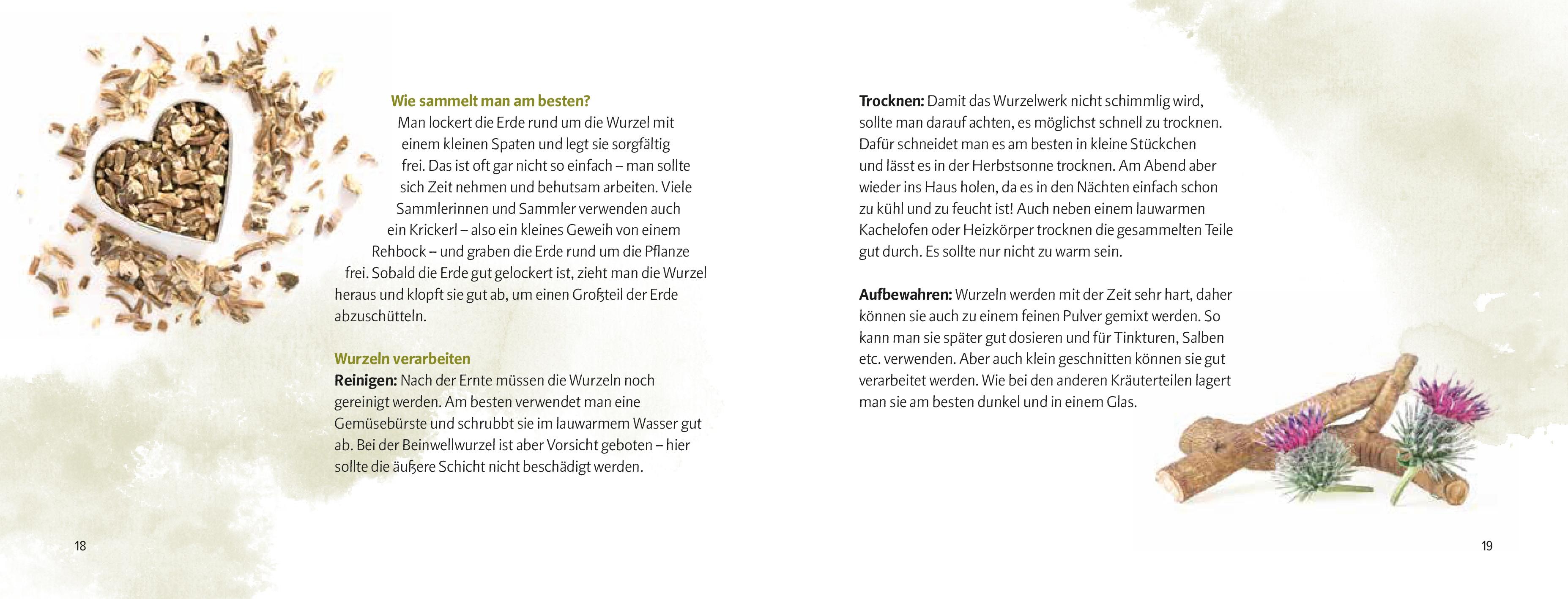 Beispielinhalt (Bild) Wurzeln und Knollen