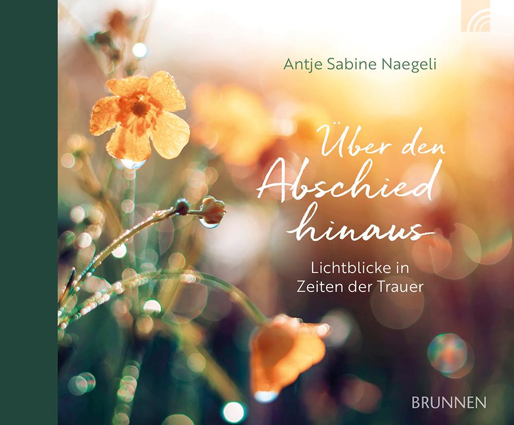 Vorderes Coverbild Über den Abschied hinaus