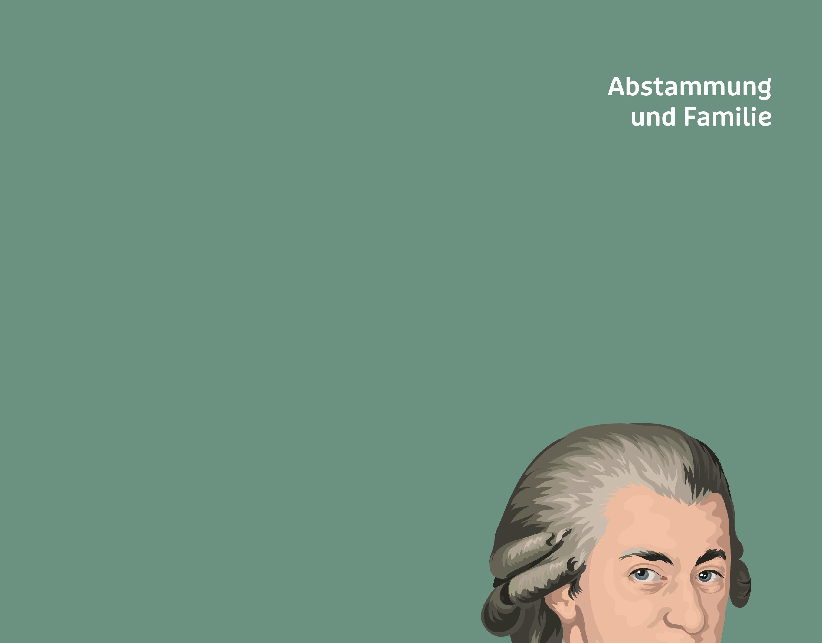 Beispielinhalt (Bild) 111 MAL MOZART