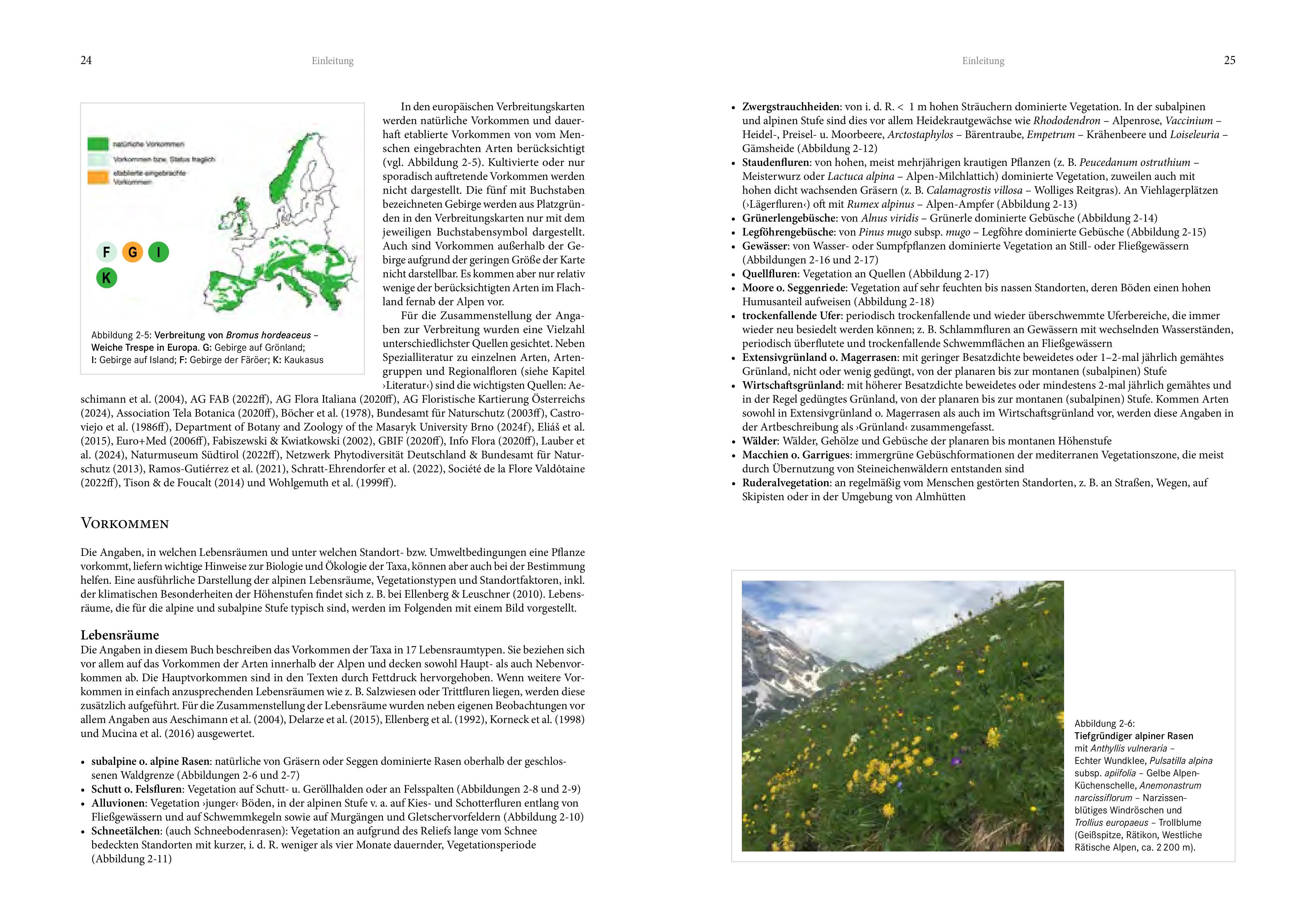 Beispielinhalt (Bild) Alpenflora