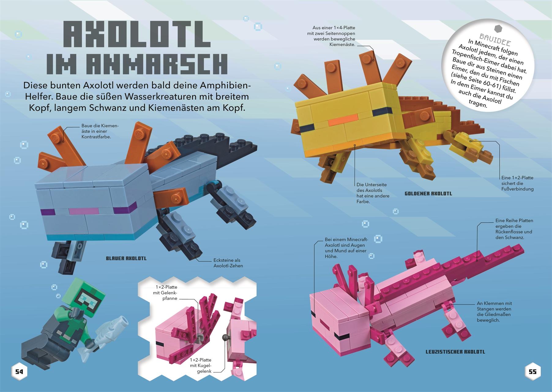 Beispielinhalt (Bild) LEGO® Minecraft® Ideen