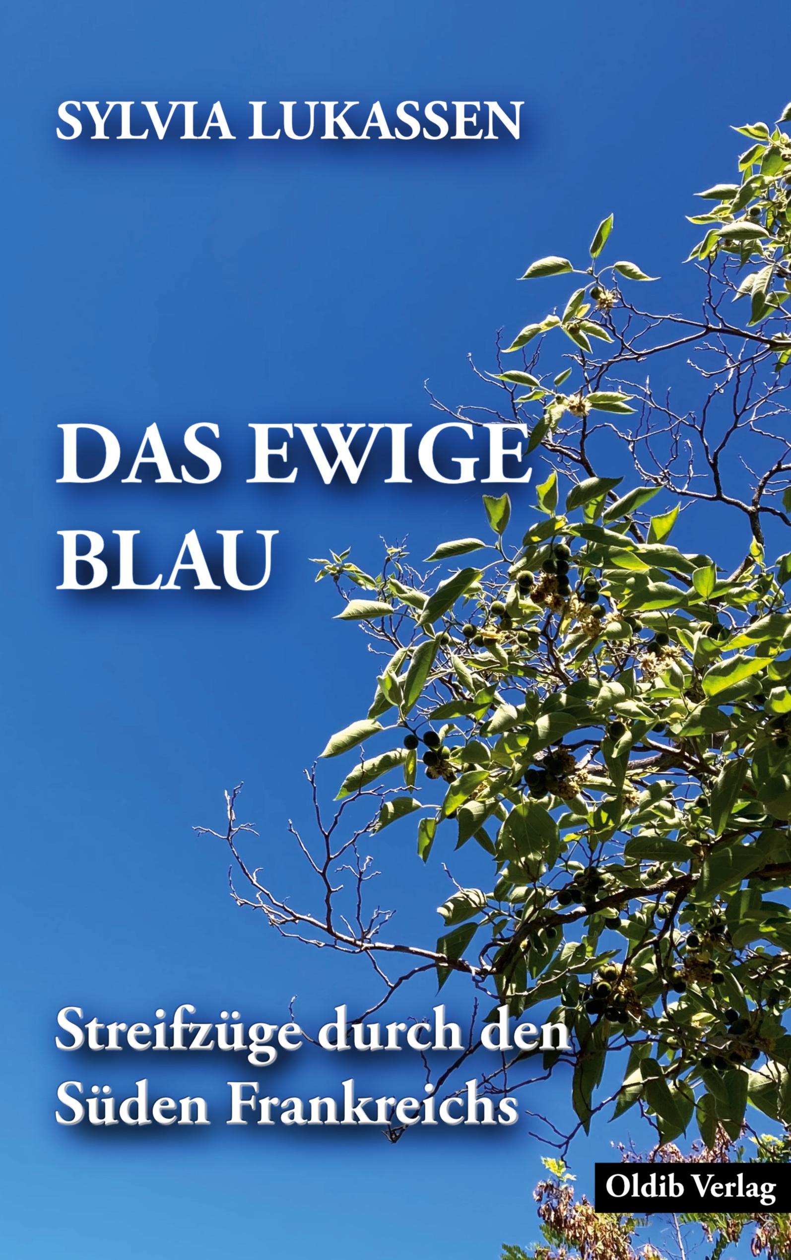 Vorderes Coverbild Das ewige Blau