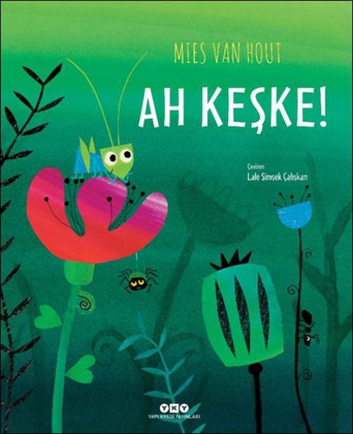 Vorderes Coverbild Ah Keske